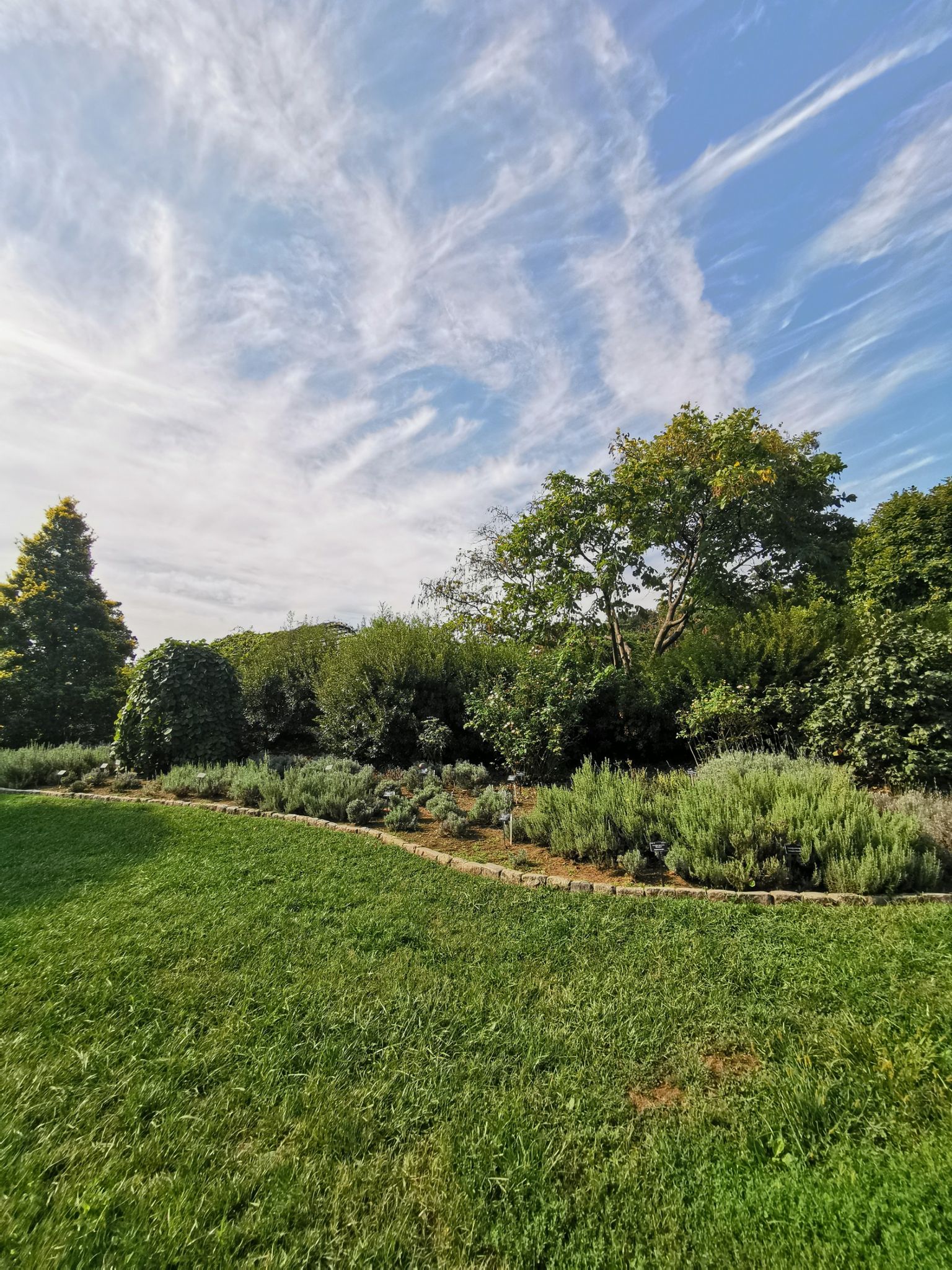 Lush green lawn and garden beds under a bright sky with wispy clouds. - Hickey Hill – National Capitol Columns loop from Stadium–Armory