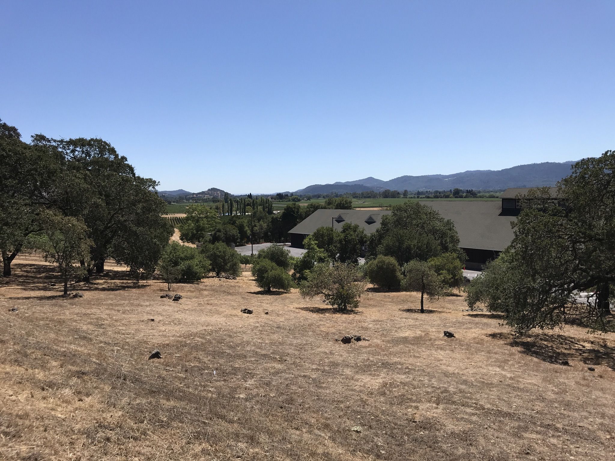 Large building nestled among trees, dry grassy field, distant mountains under blue sky. - Silverado Trail