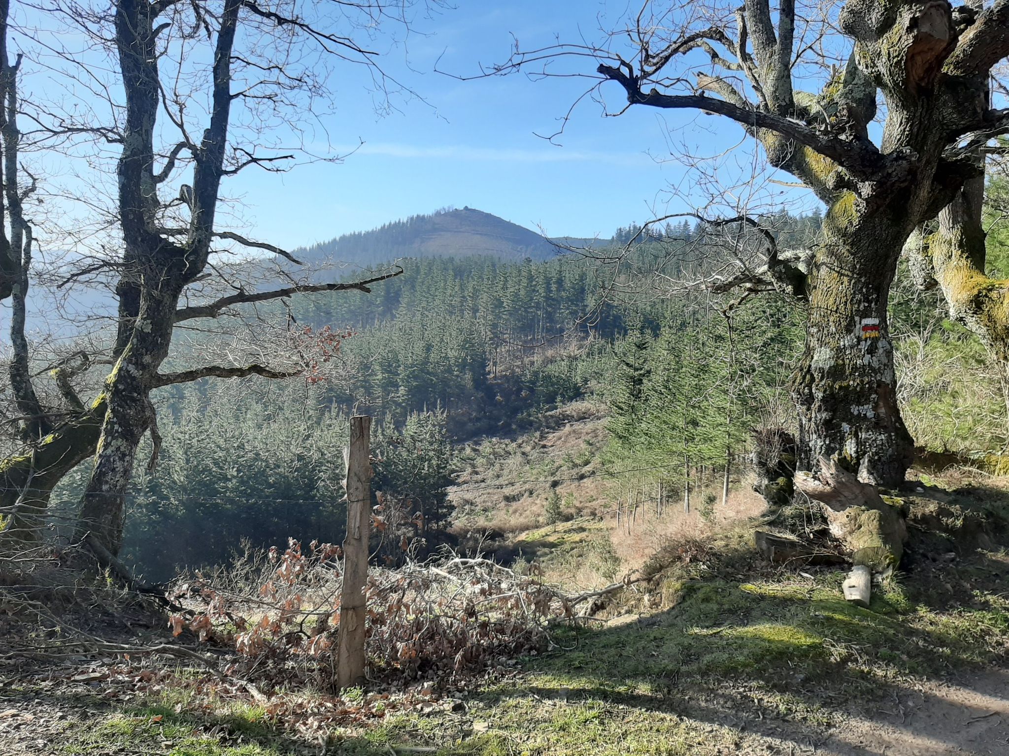 Asentsiomendi desde Untzilla