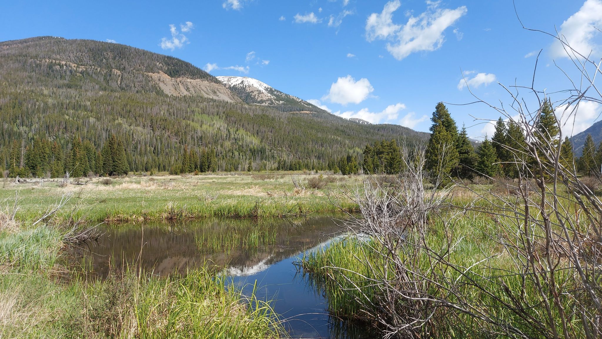 Small stream in a grassy meadow with forested mountains and a bright blue sky. - Grand Ditch Trail