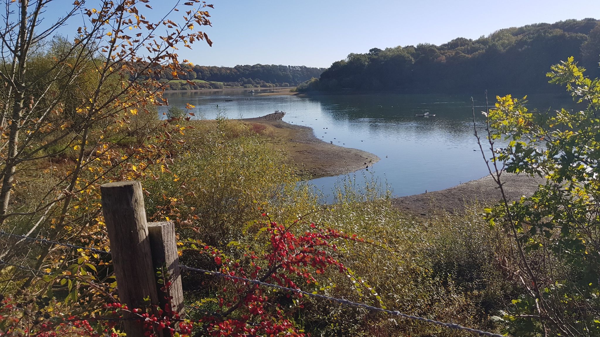 Ogston Reservoir
