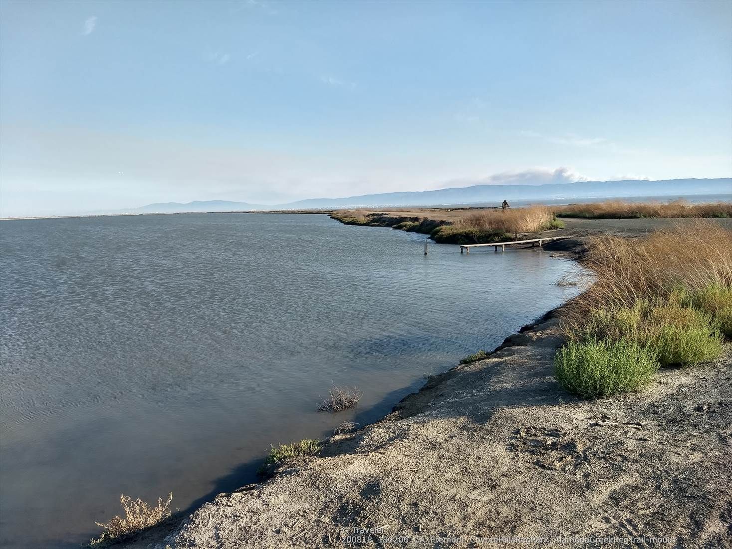 Calm water next to a grassy shore with a small pier under clear skies. - Alameda Creek Trail – Alameda Creek Trail to the Bay loop from Union City