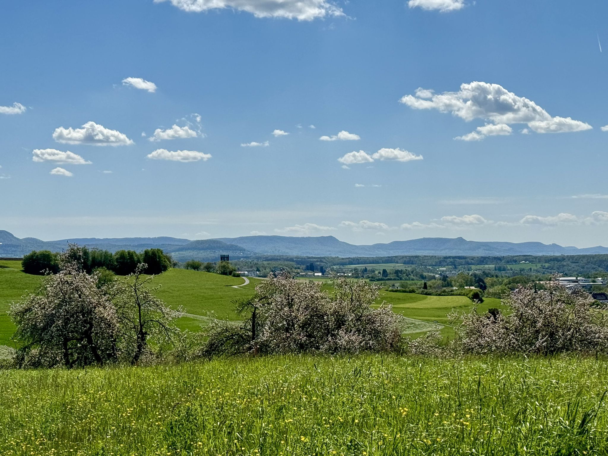 Blick zur Burg Teck und drum herum