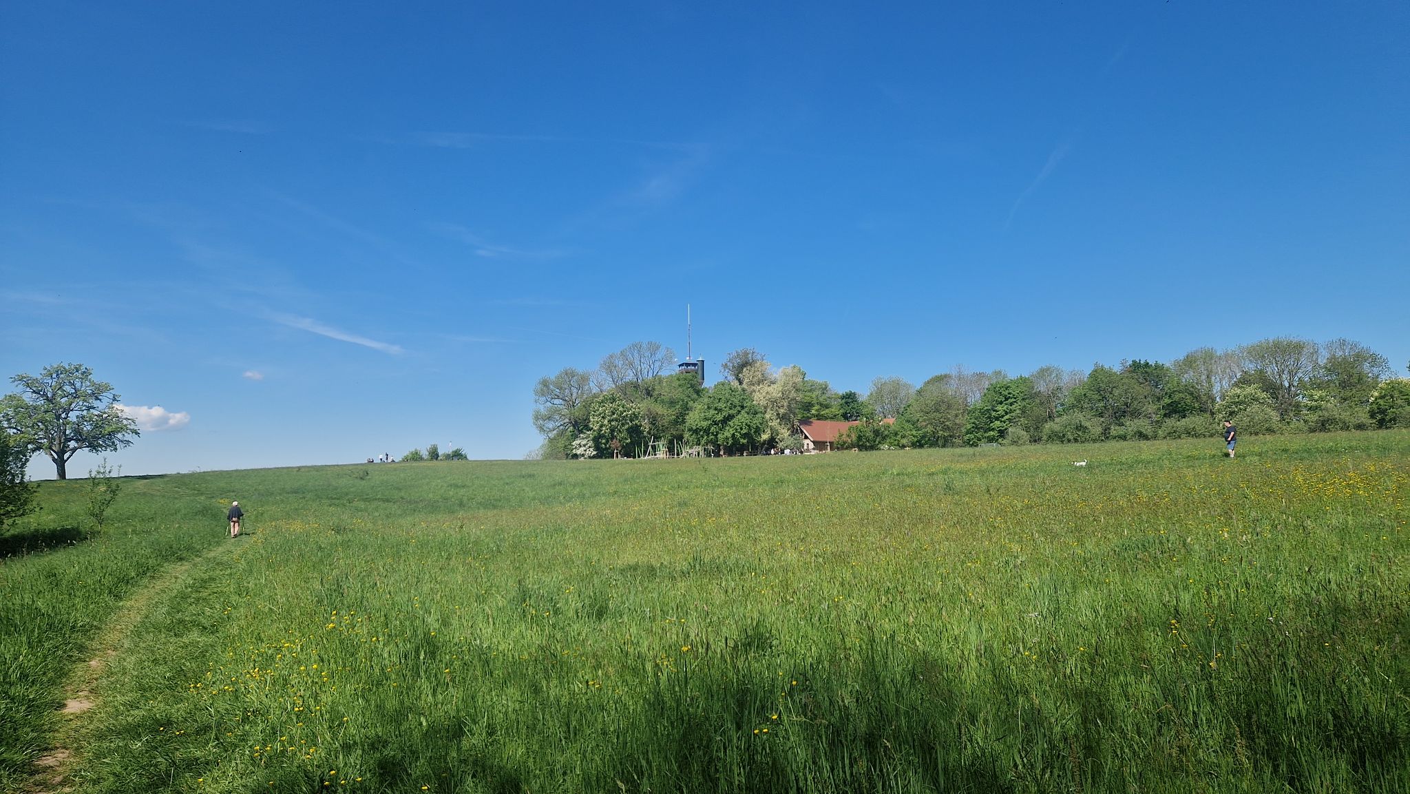 Einkornturm