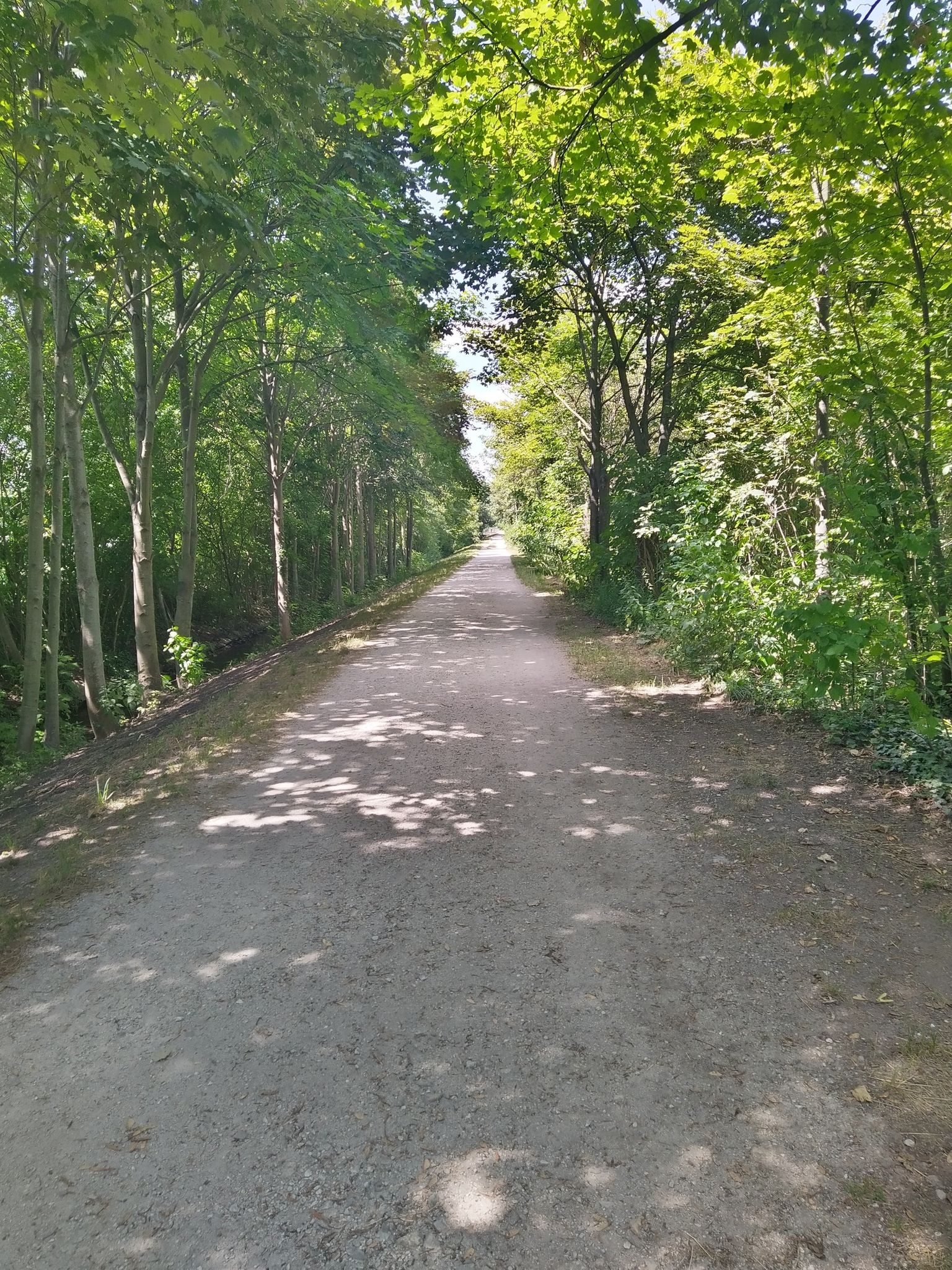 Schmuckerau