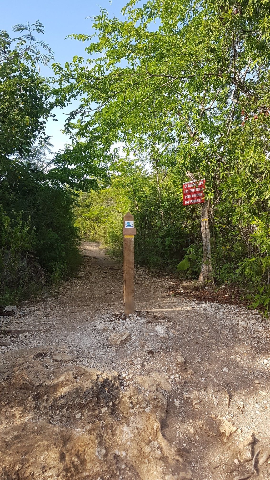 the way starts here