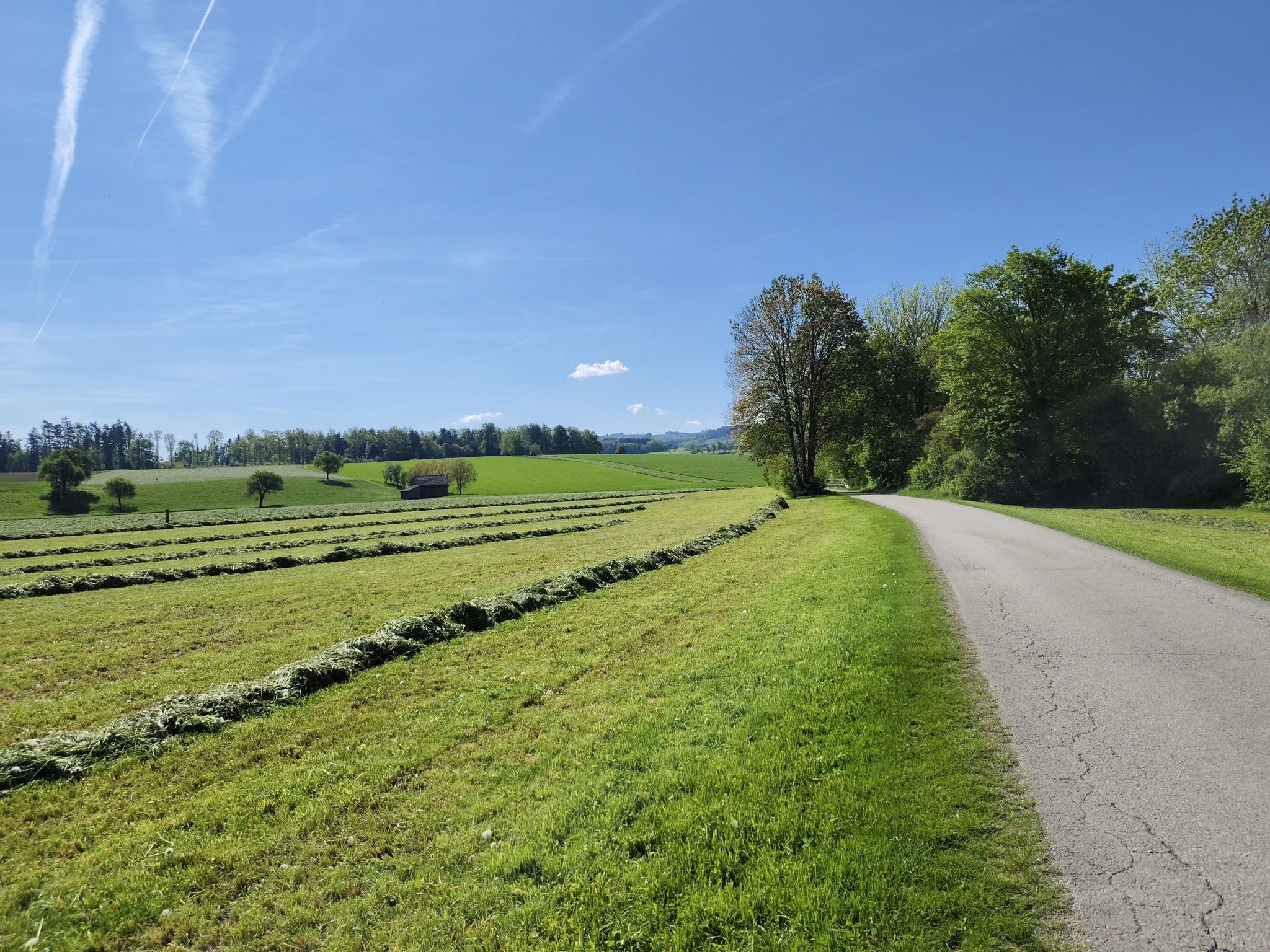 die Erntezeit beginnt.