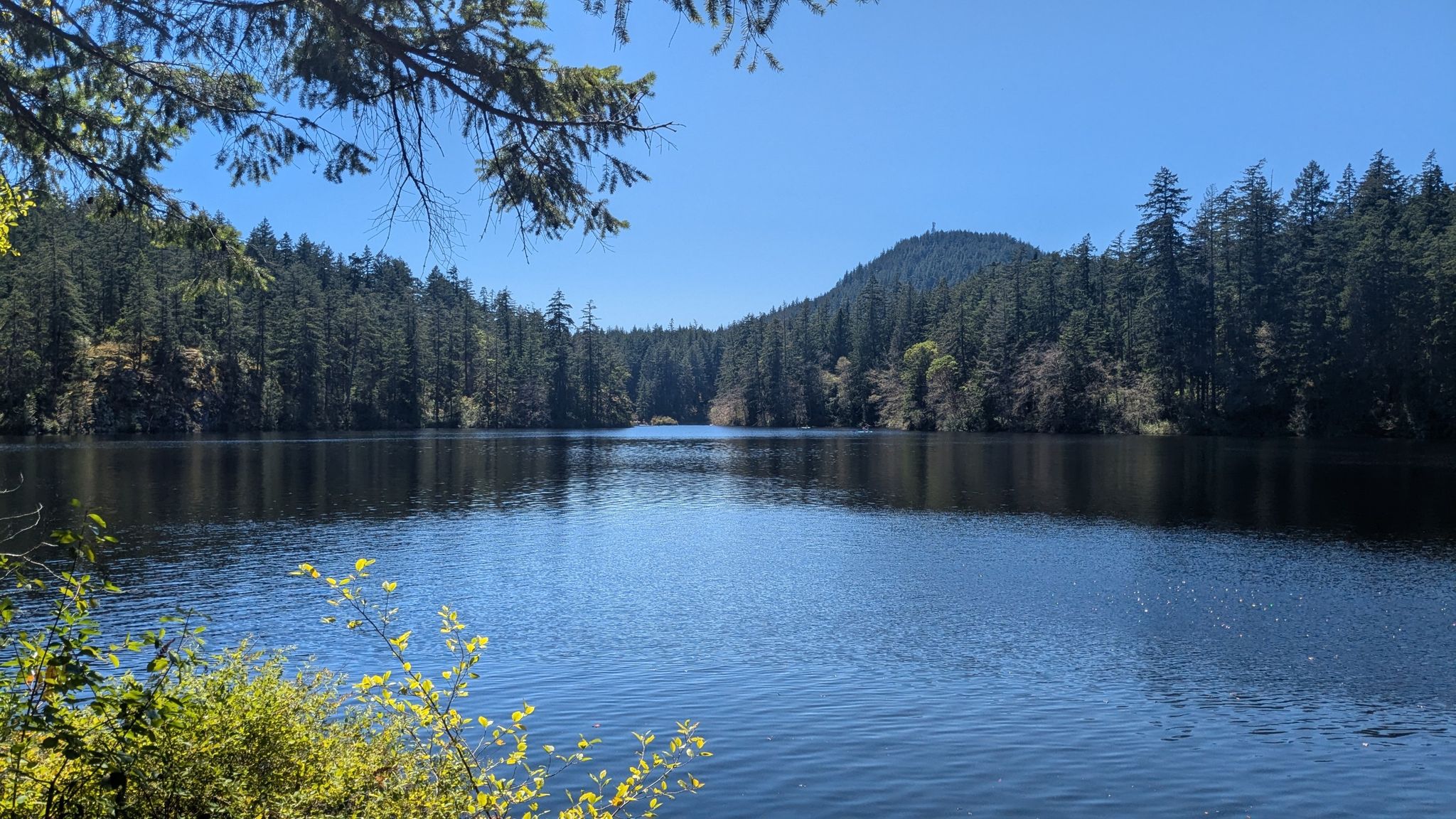 Expansive view of a tranquil lake bordered by lush green forests. - Mount Erie and Whistle Lake Loop