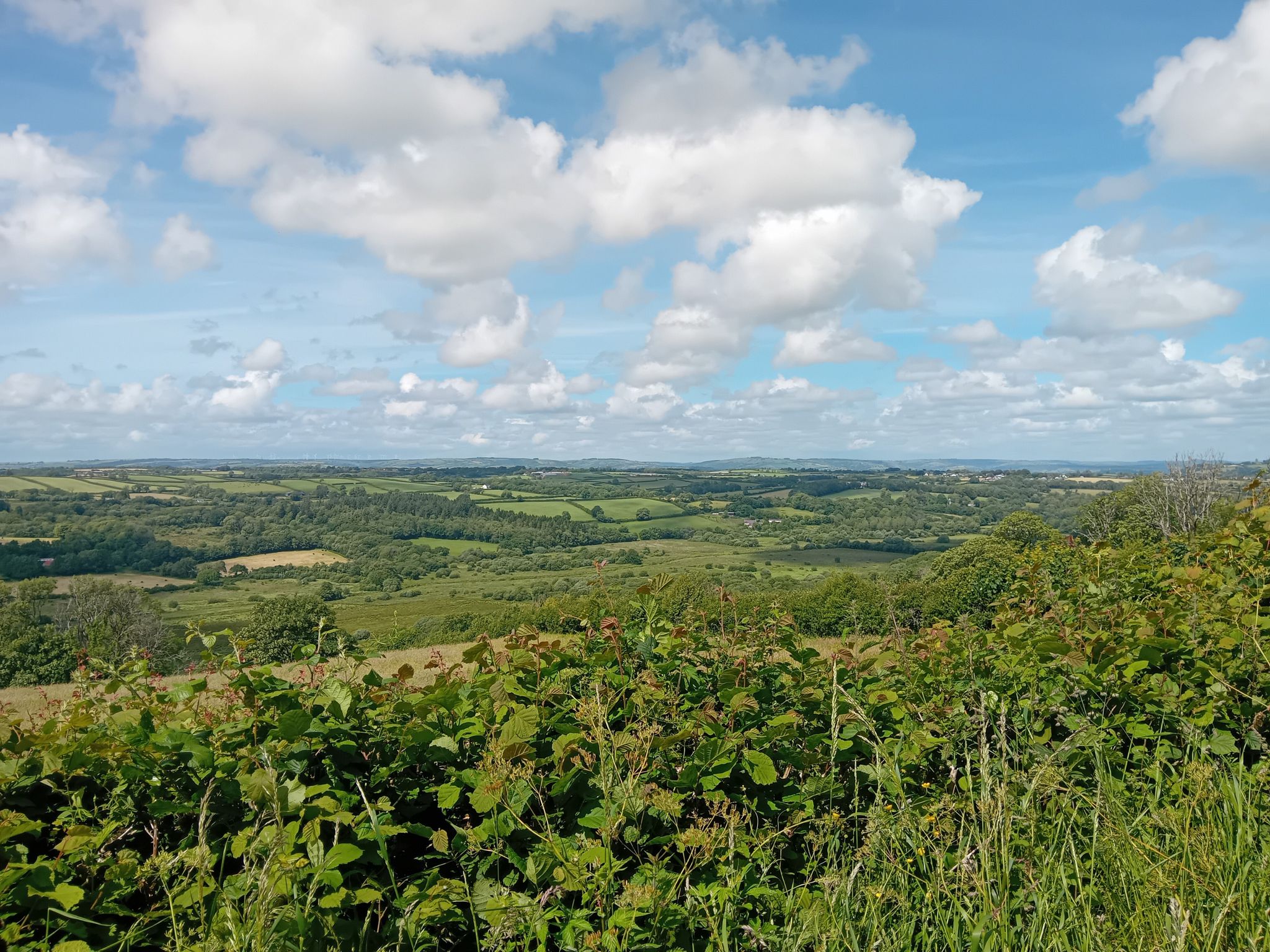 View over Gewndraeth Valley