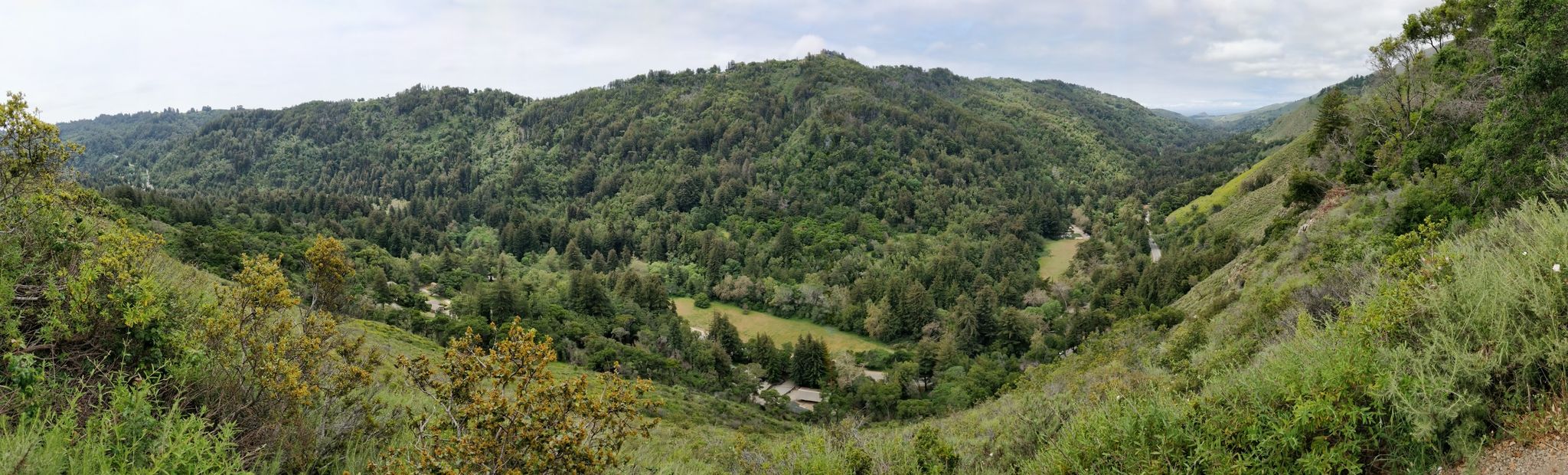 Panoramic view of a vast, verdant valley with forested hillsides. - Pfeiffer Falls – Pfeiffer Falls Trail loop from Pfeiffer Big Sur State Park
