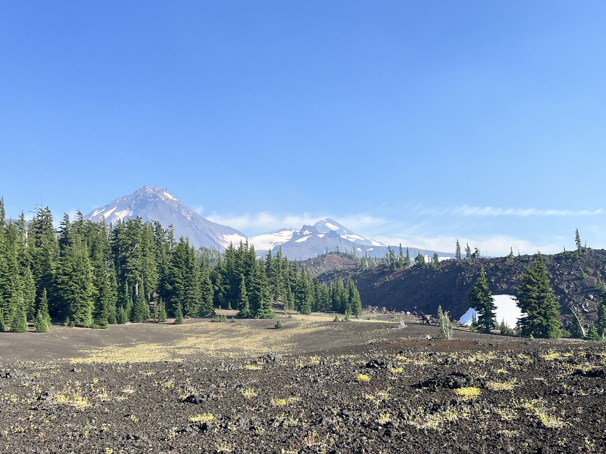 Two snow-capped mountains rise above a pine forest and dark volcanic landscape. - Four in One Cone via Scott Trail