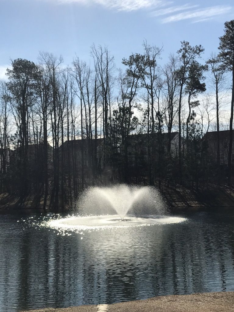 A bright fountain spraying water in a dark pond with bare trees. - Park Village Greenway