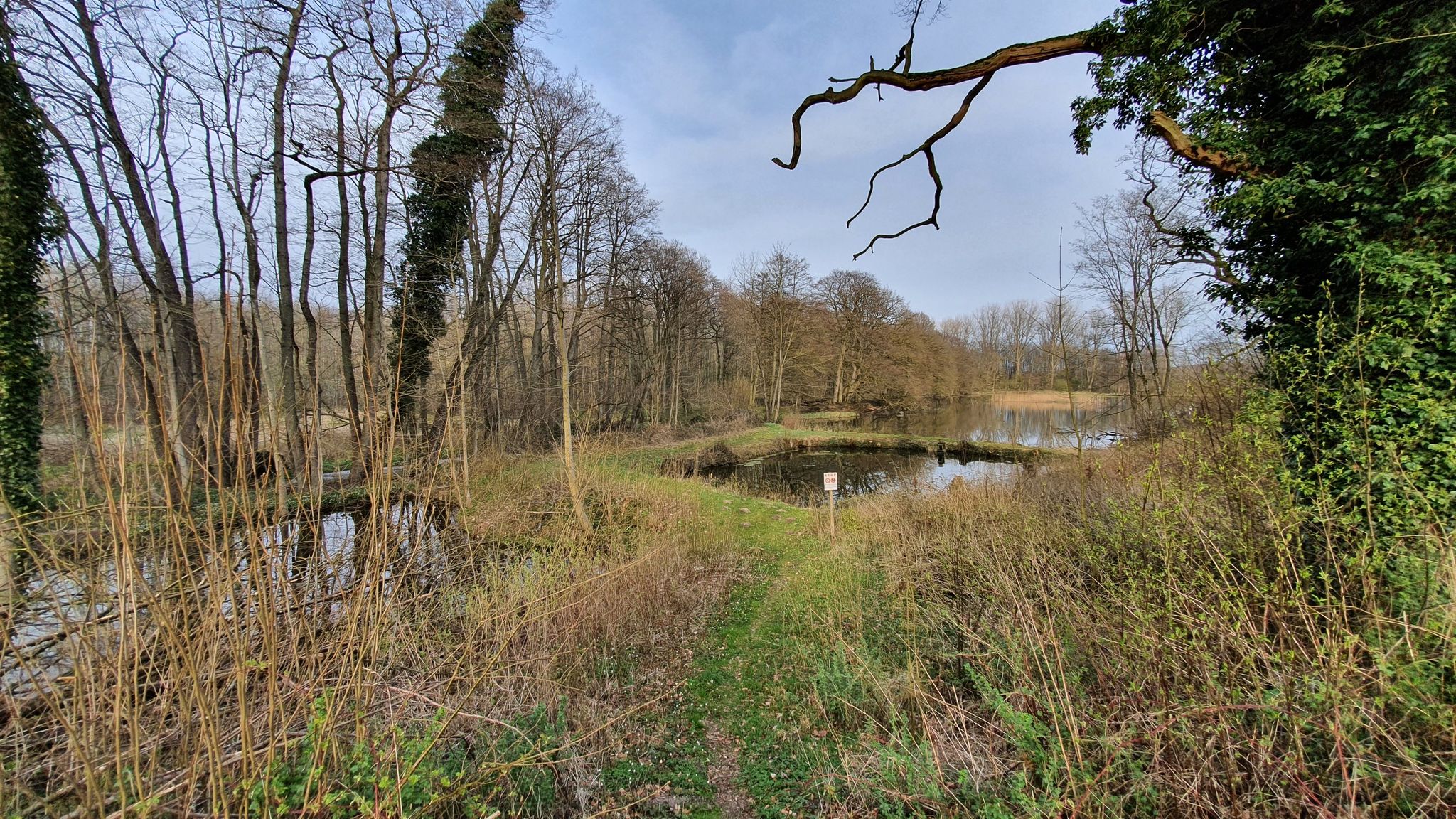 Teich!!?