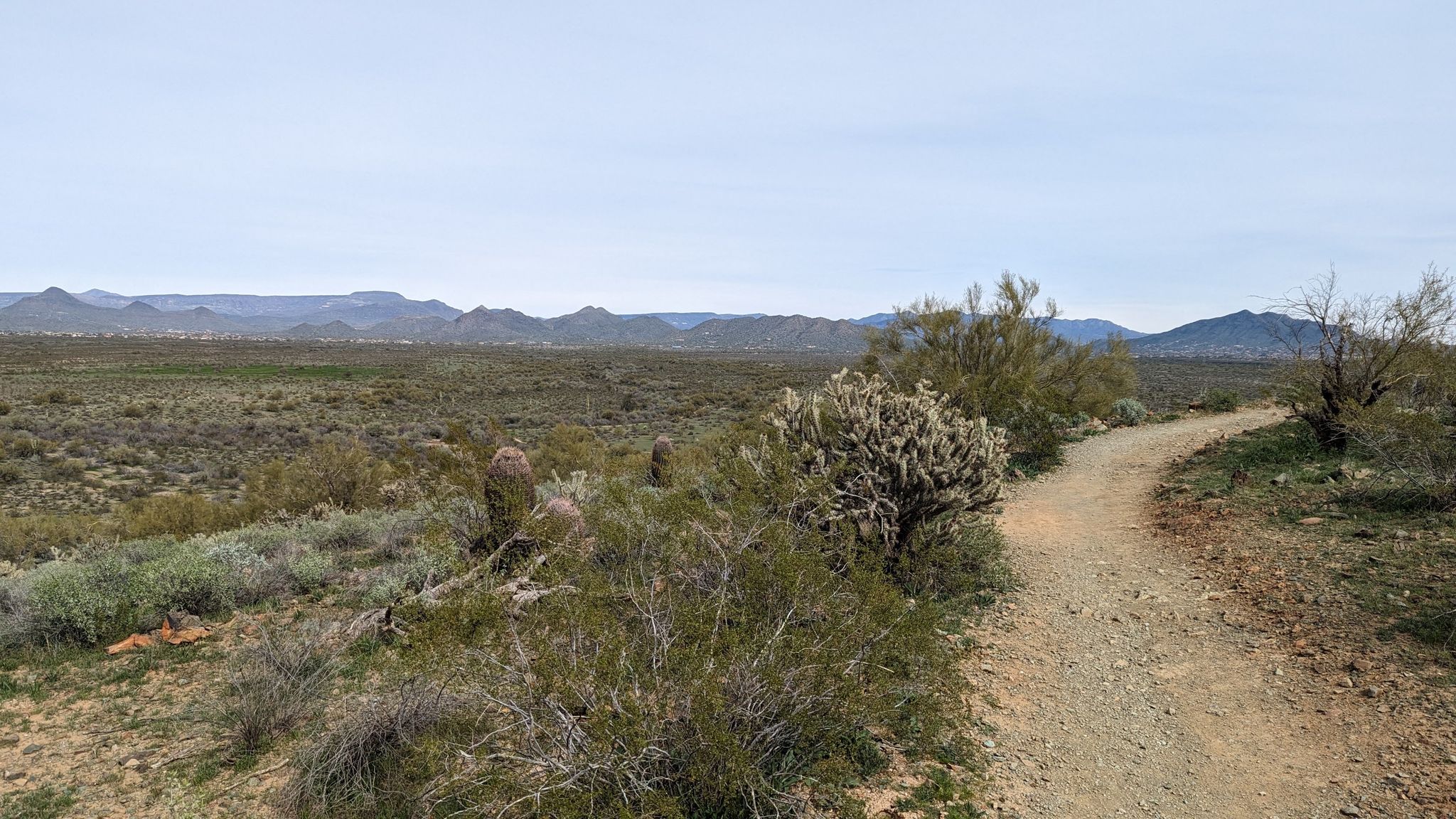 A winding dirt trail through a vast desert landscape under an overcast sky. - Bike loop from Horse Trailer Parking