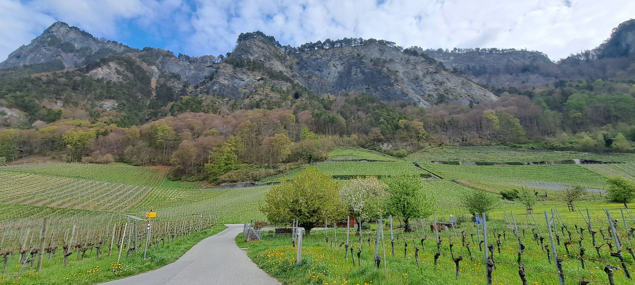 Beeindruckend liegt der Fläscher Berg vor mir.