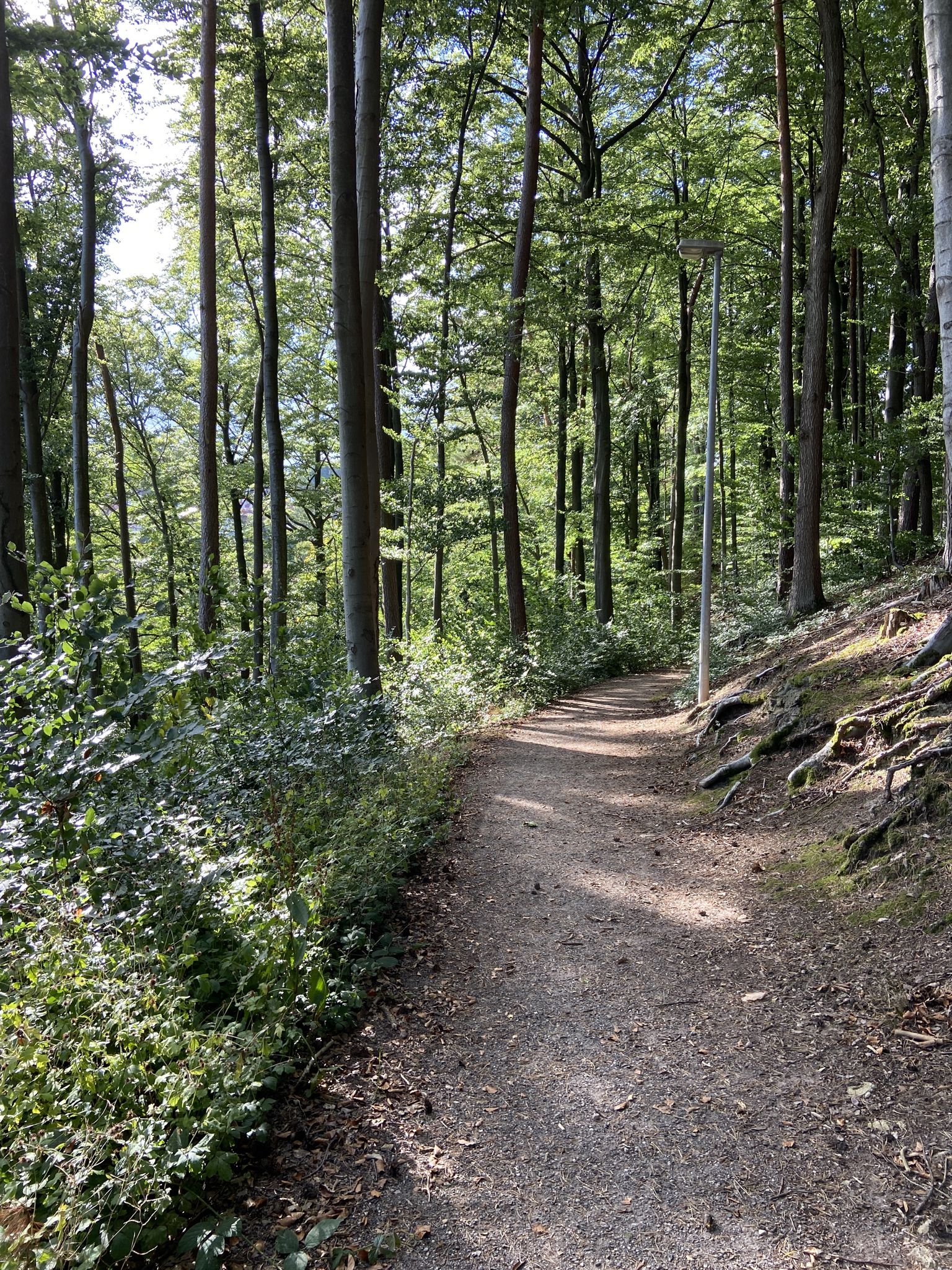 Der Fünf-Minuten-Weg