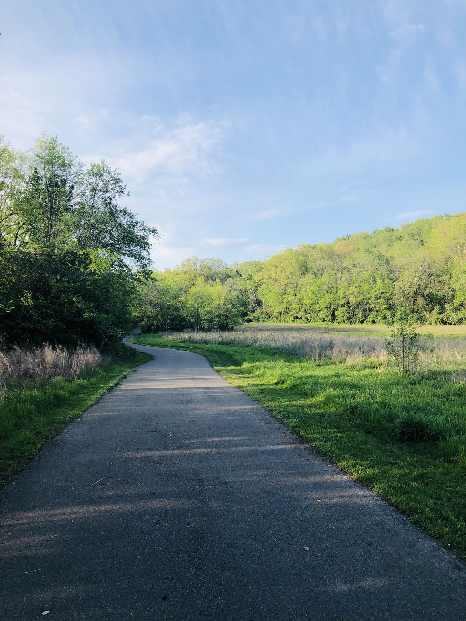 Paved path curving through a green field with trees and distant hills. - Music City Bikeway