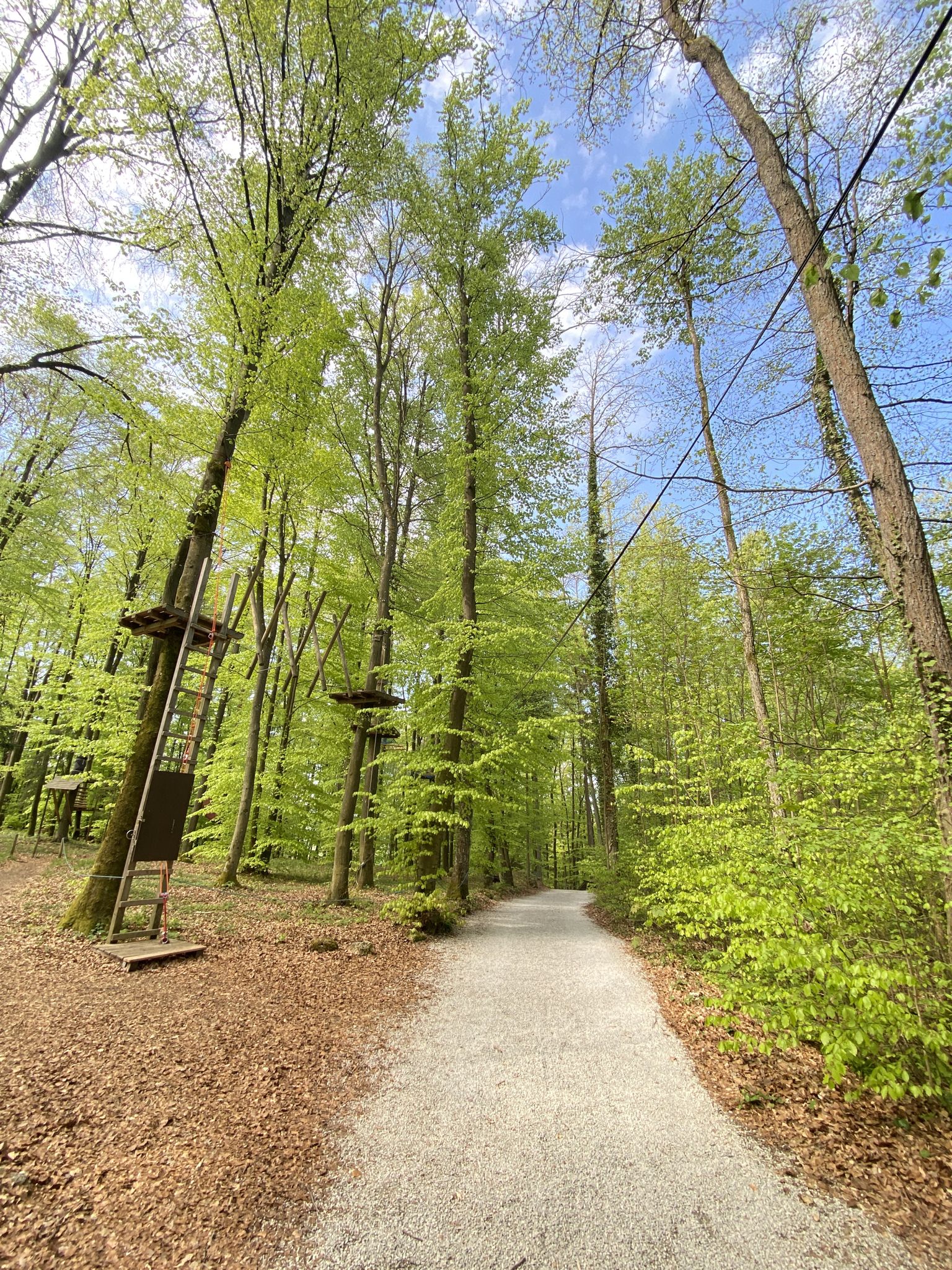 Durch den Klettergarten Veilsbronn zum Naturfreunde Haus Veilsbronn