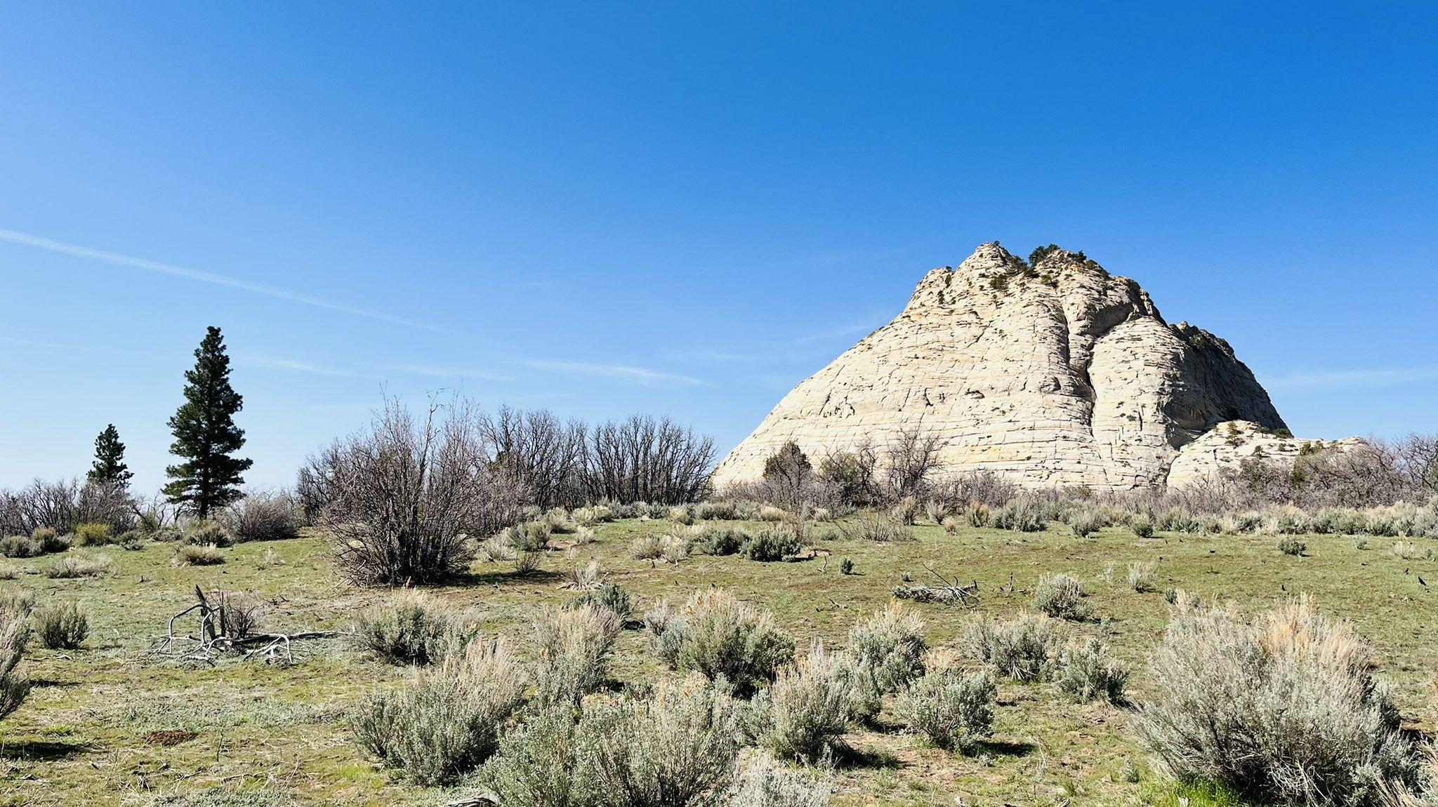 Large, light-colored rock formation in a sunny, grassy field with sparse trees. - Wildcat Canyon Trail
