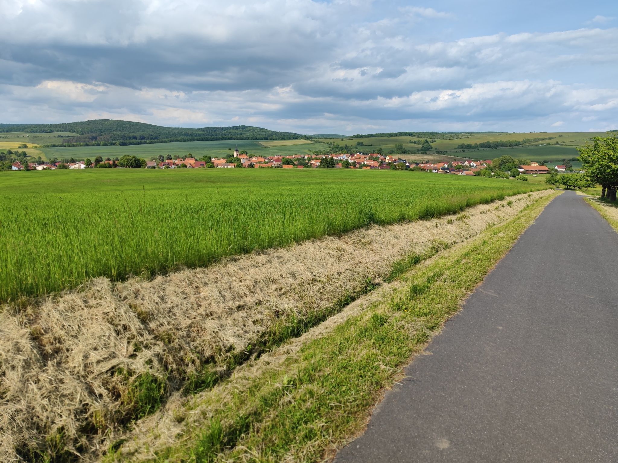 wieder zu Hause