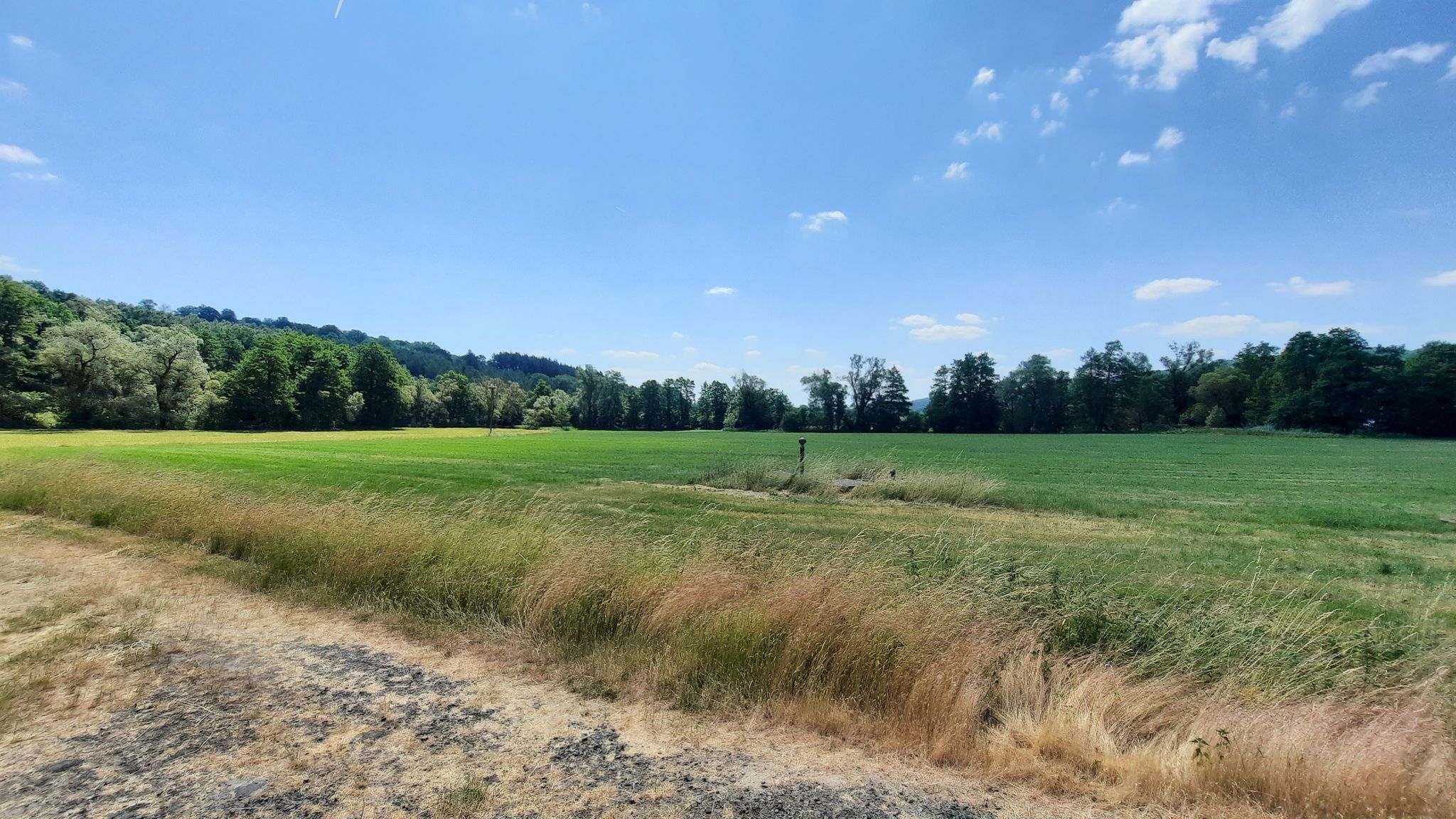 Brachwiesen bei Schlierbach