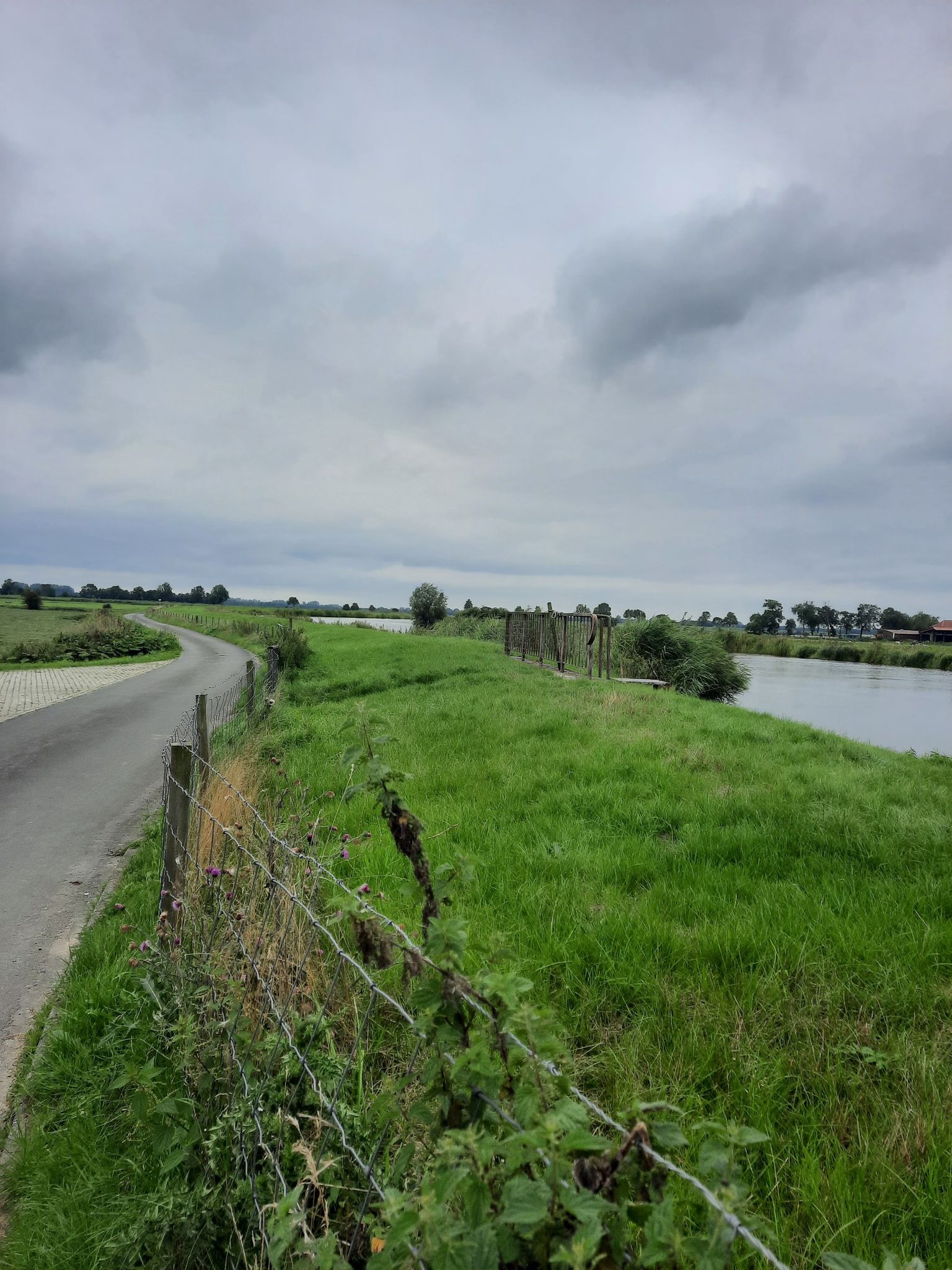 Jümme und Straße fast auf gleicher Höhe