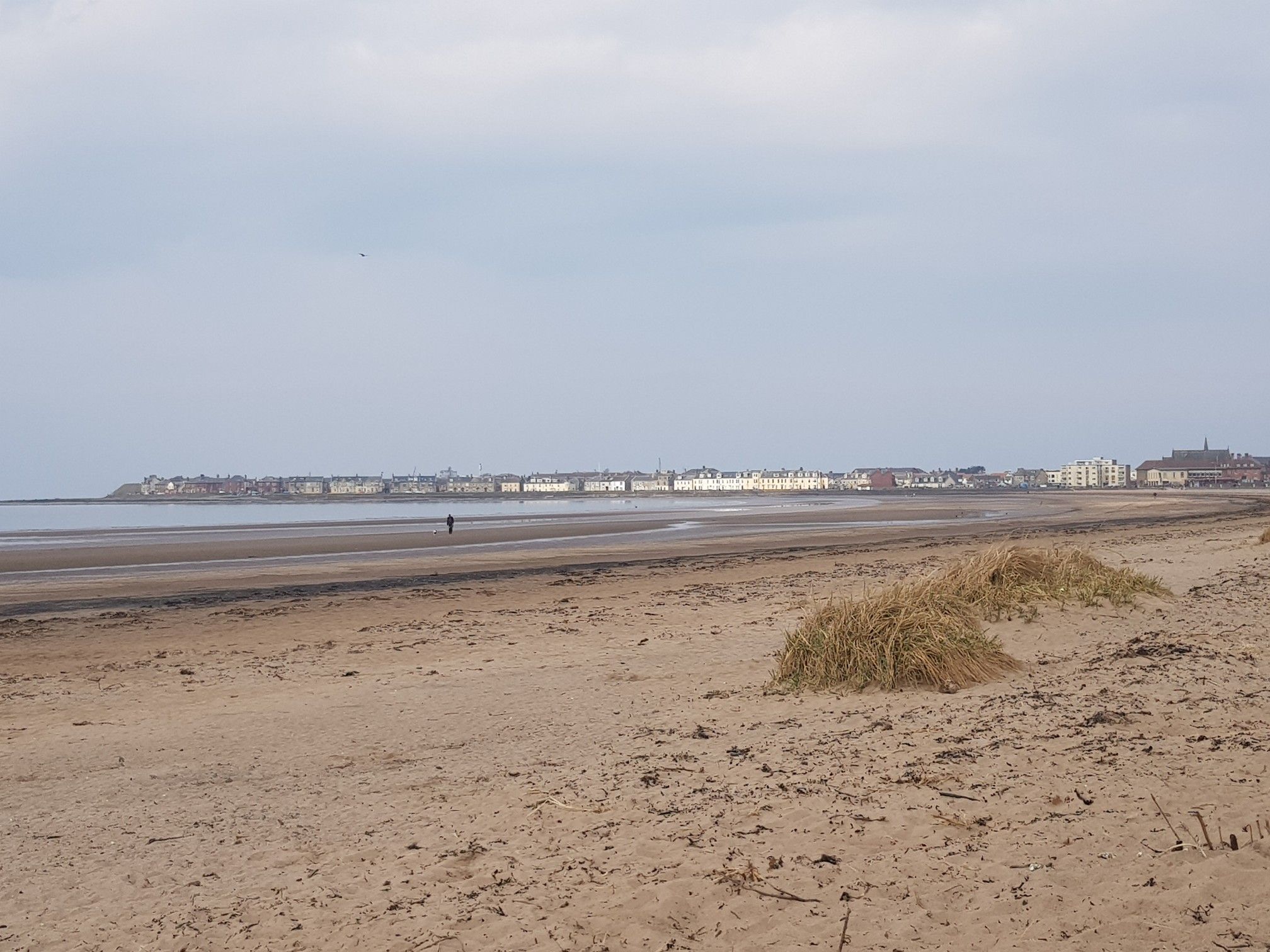 Troon