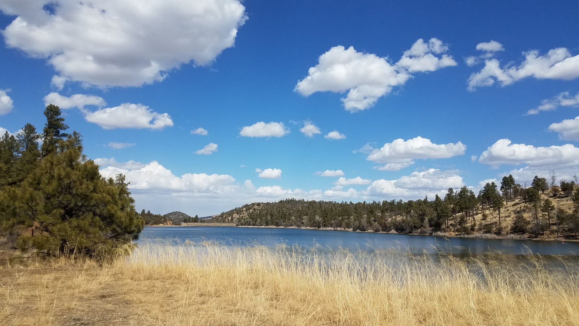 Expansive lake view with dry grass, forested hills, and a bright blue sky. - Homestead Trail #305 to Lynx Lake