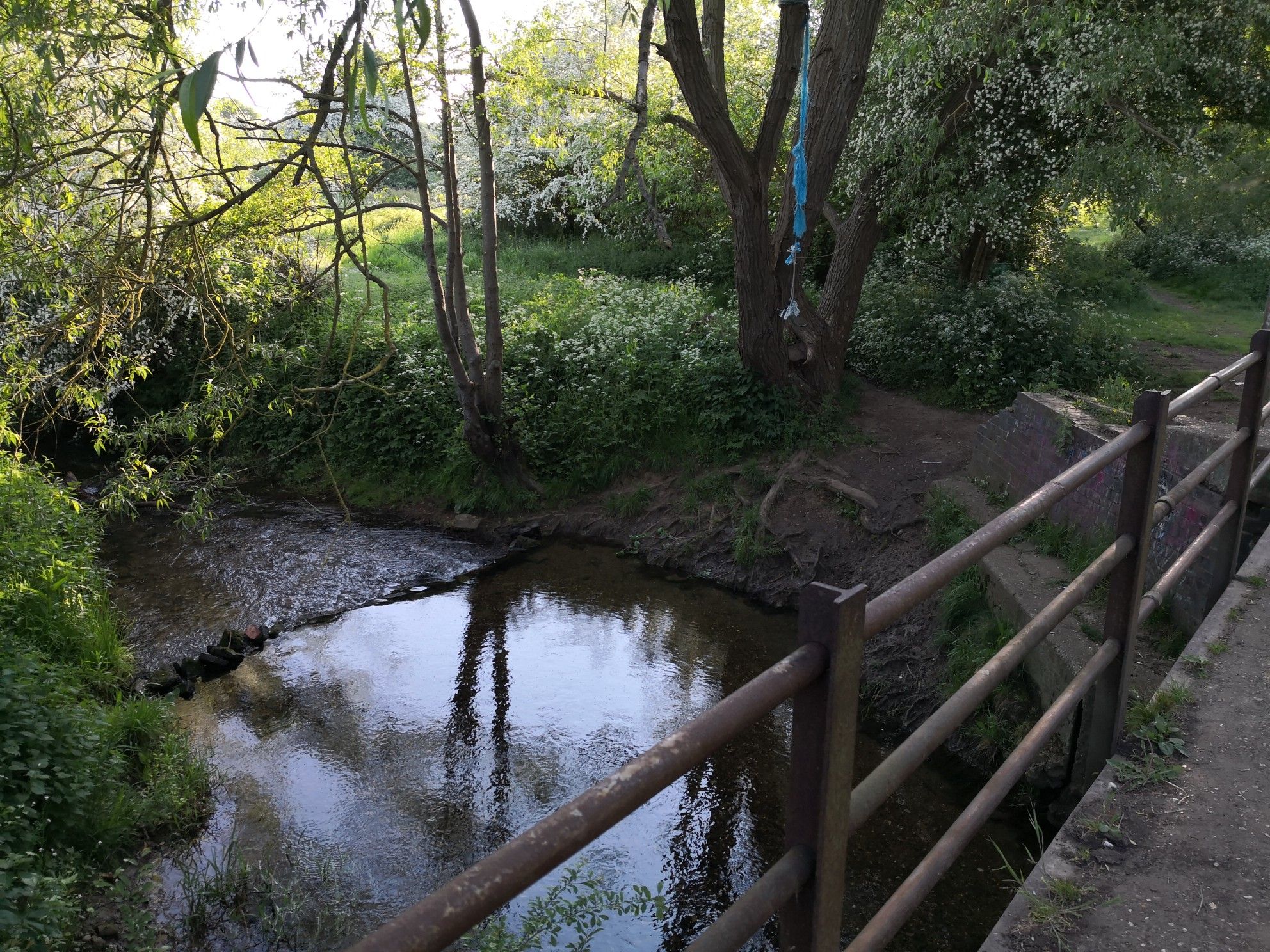 bridge