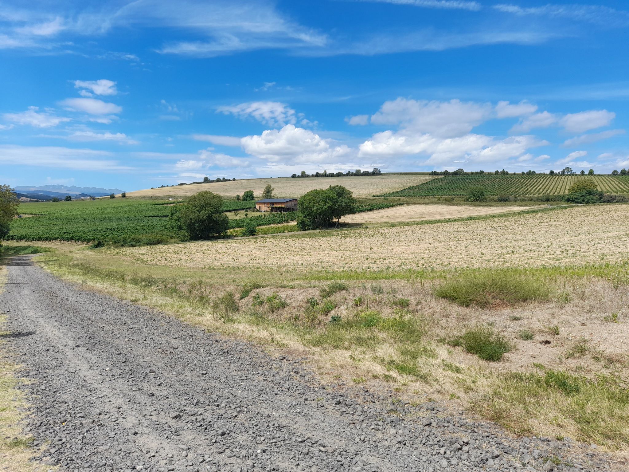 Vignoble de Neschers