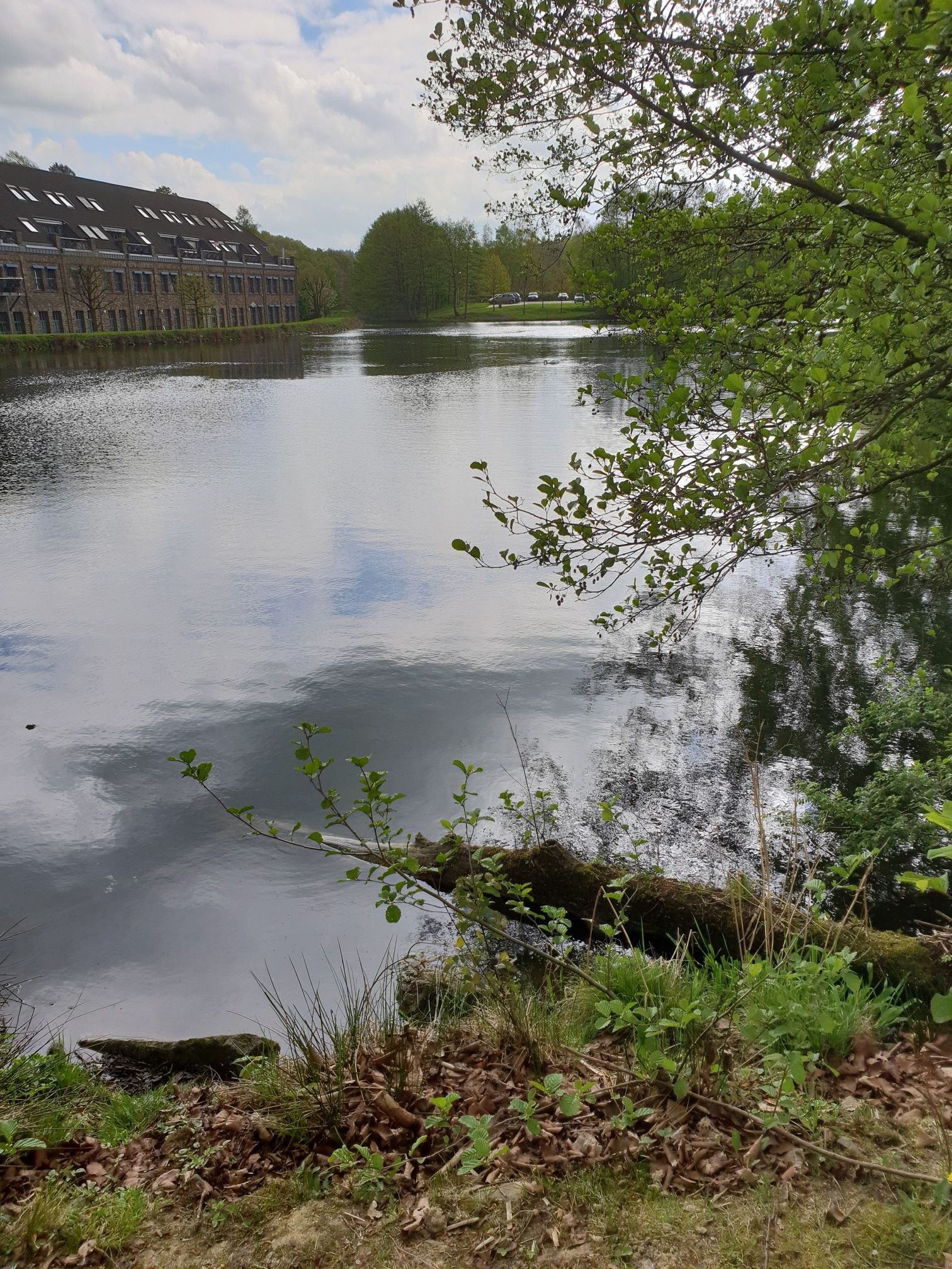 Stauweiher Oberwiehl