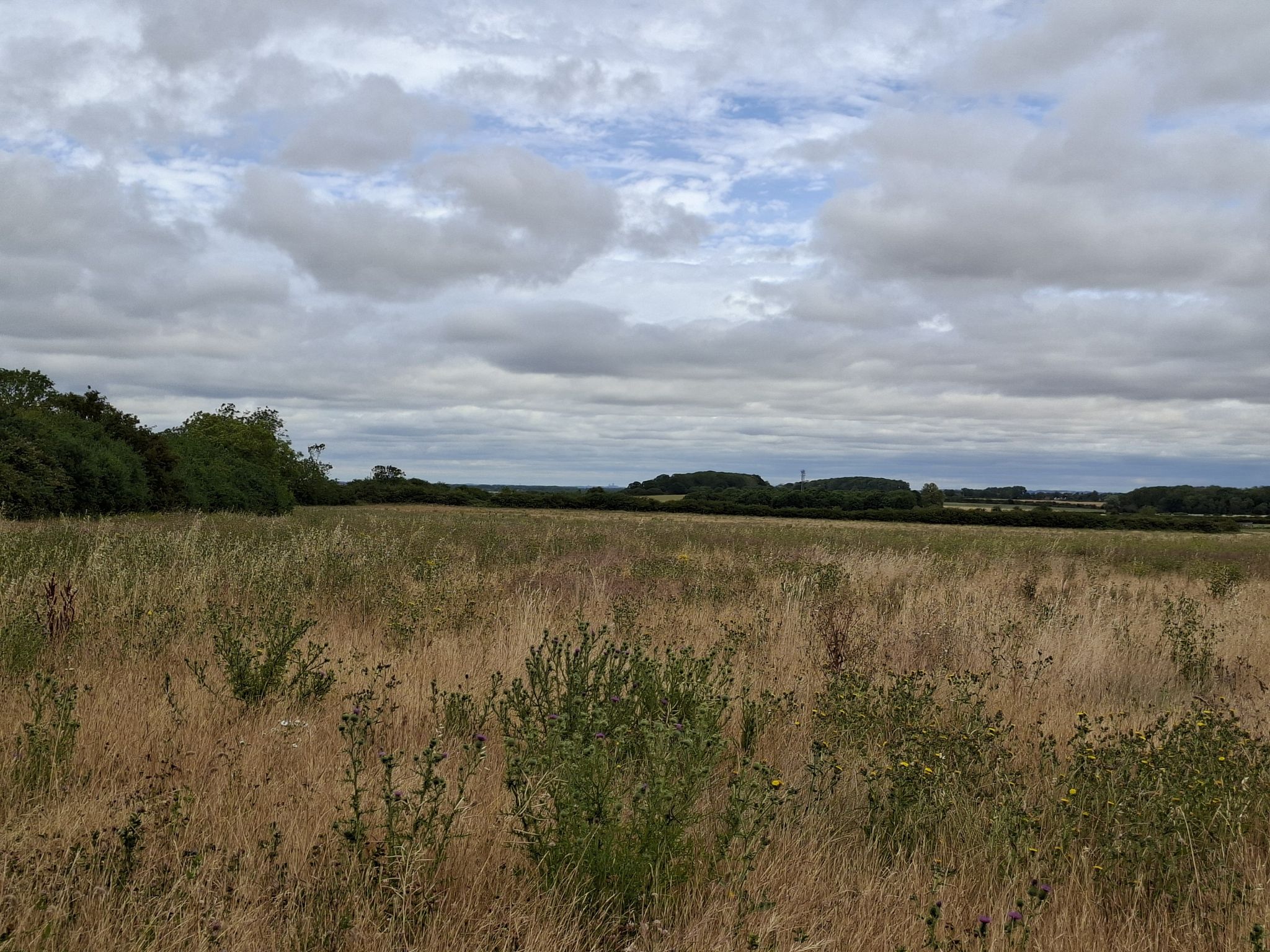 The speck on the horizon is Lincoln cathedral, 18 miles away.