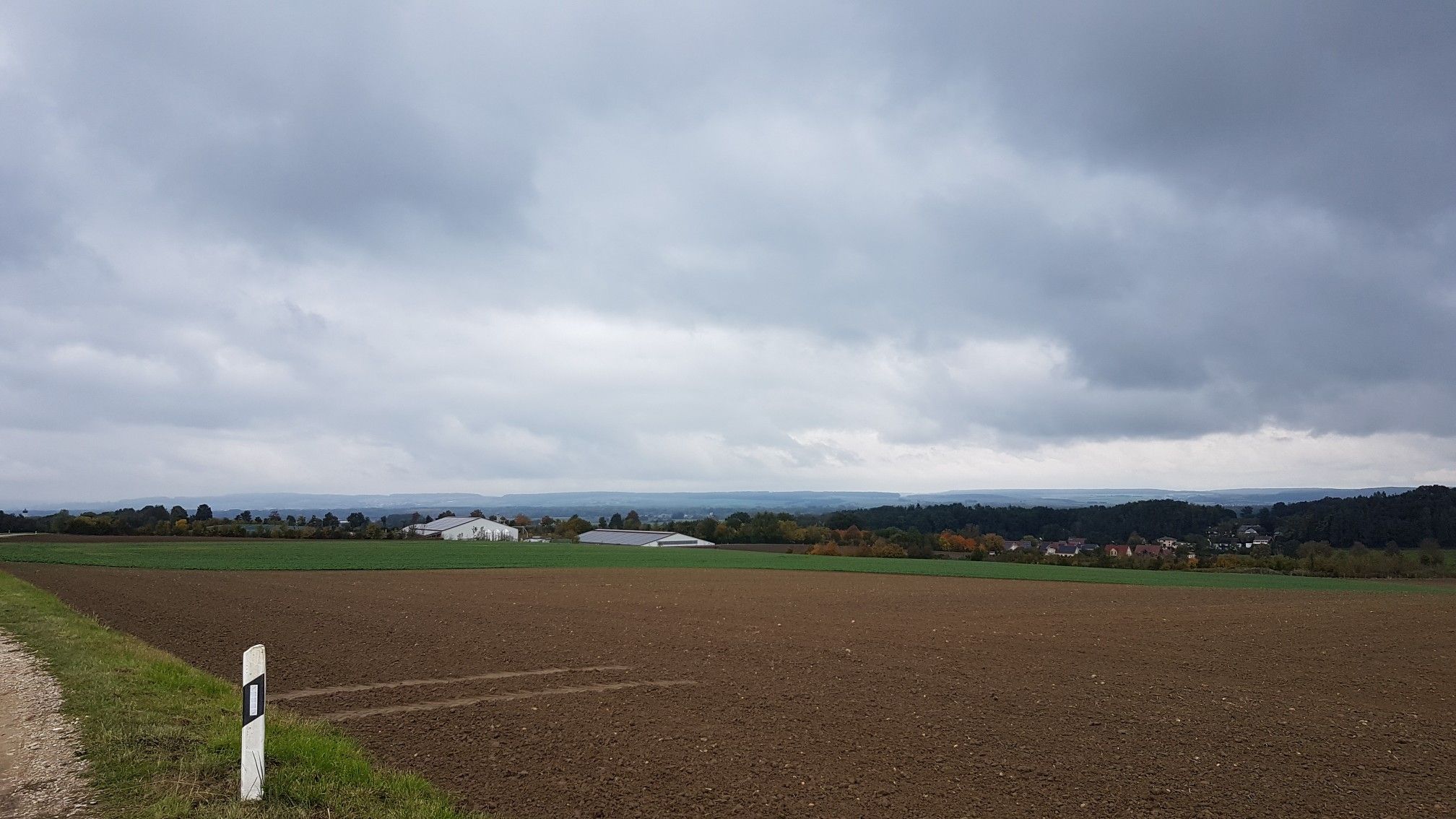 Wahnsinns Blick 