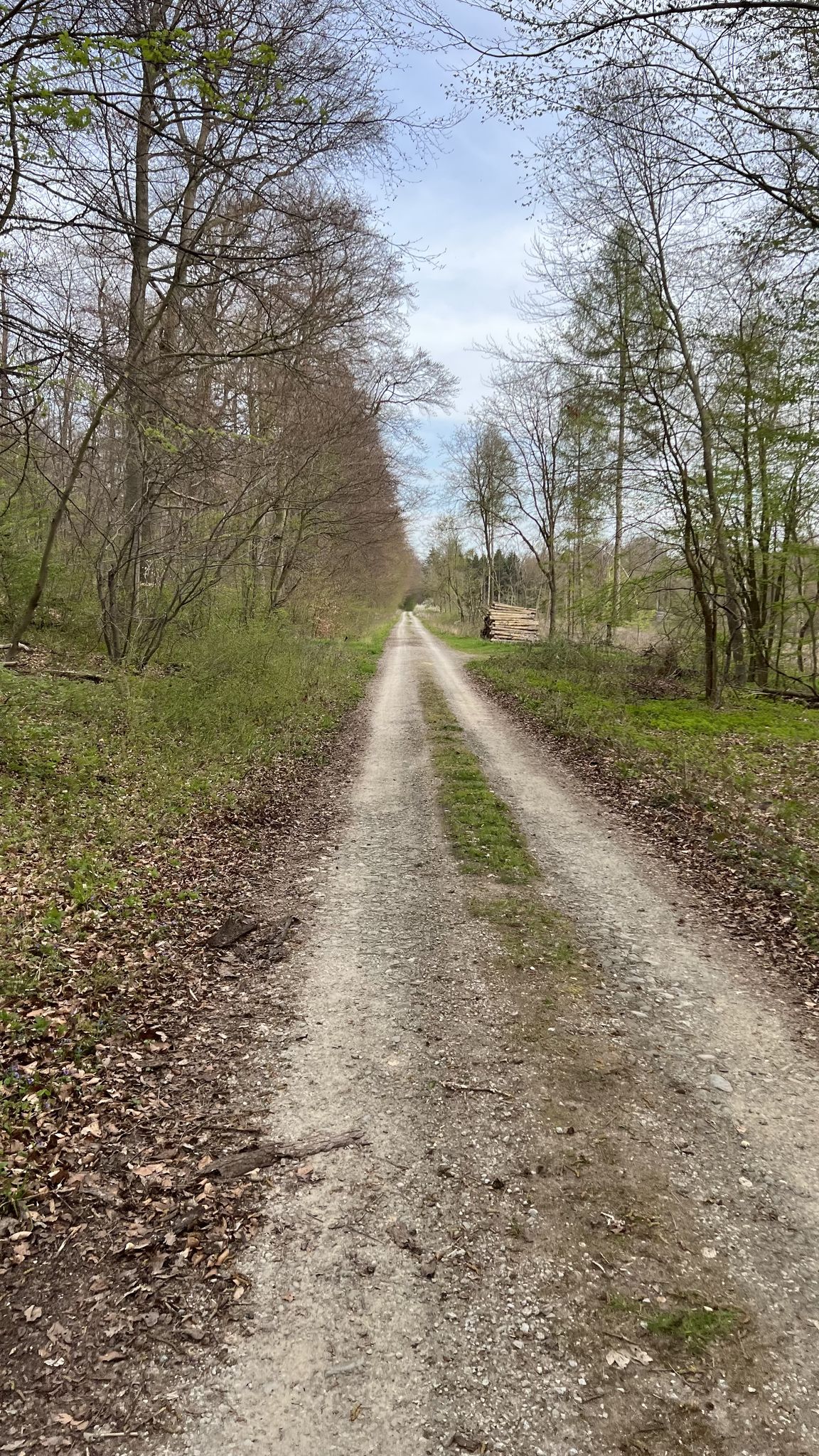 die Dormautobahn