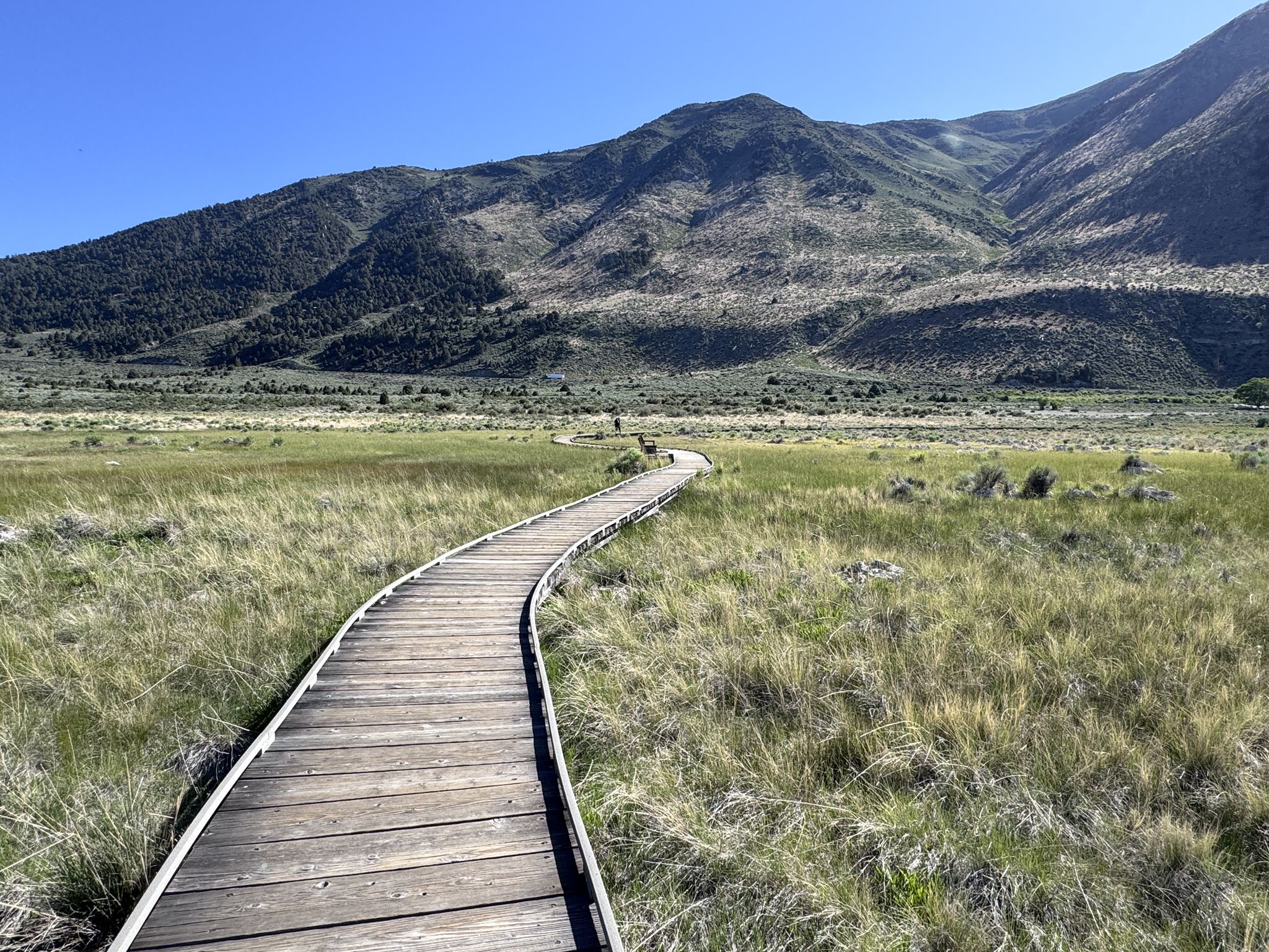 A winding wooden boardwalk through a grassy field towards distant mountains on a sunny day. - Mono Lake Trail