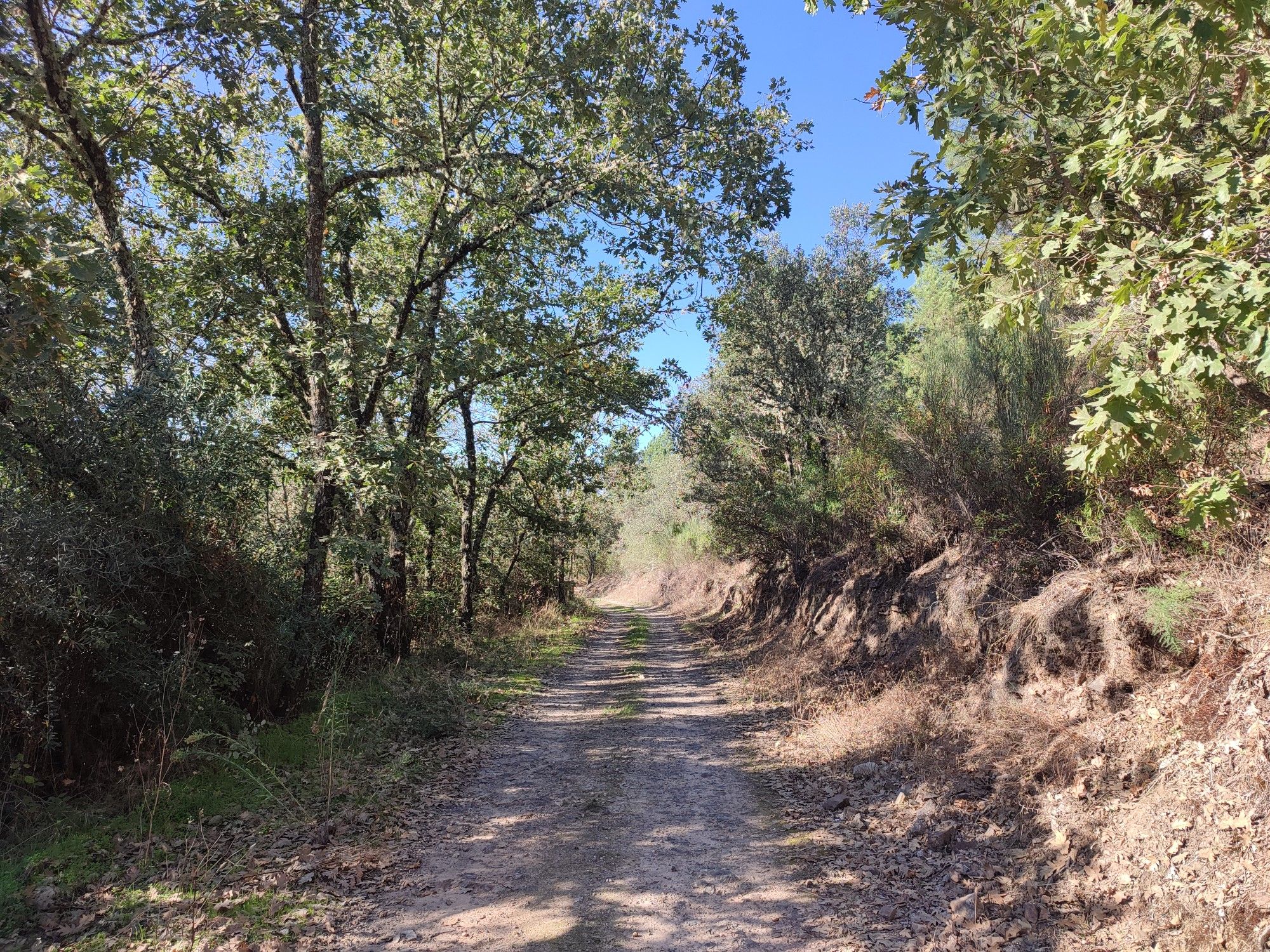 Camino Pozuelo
