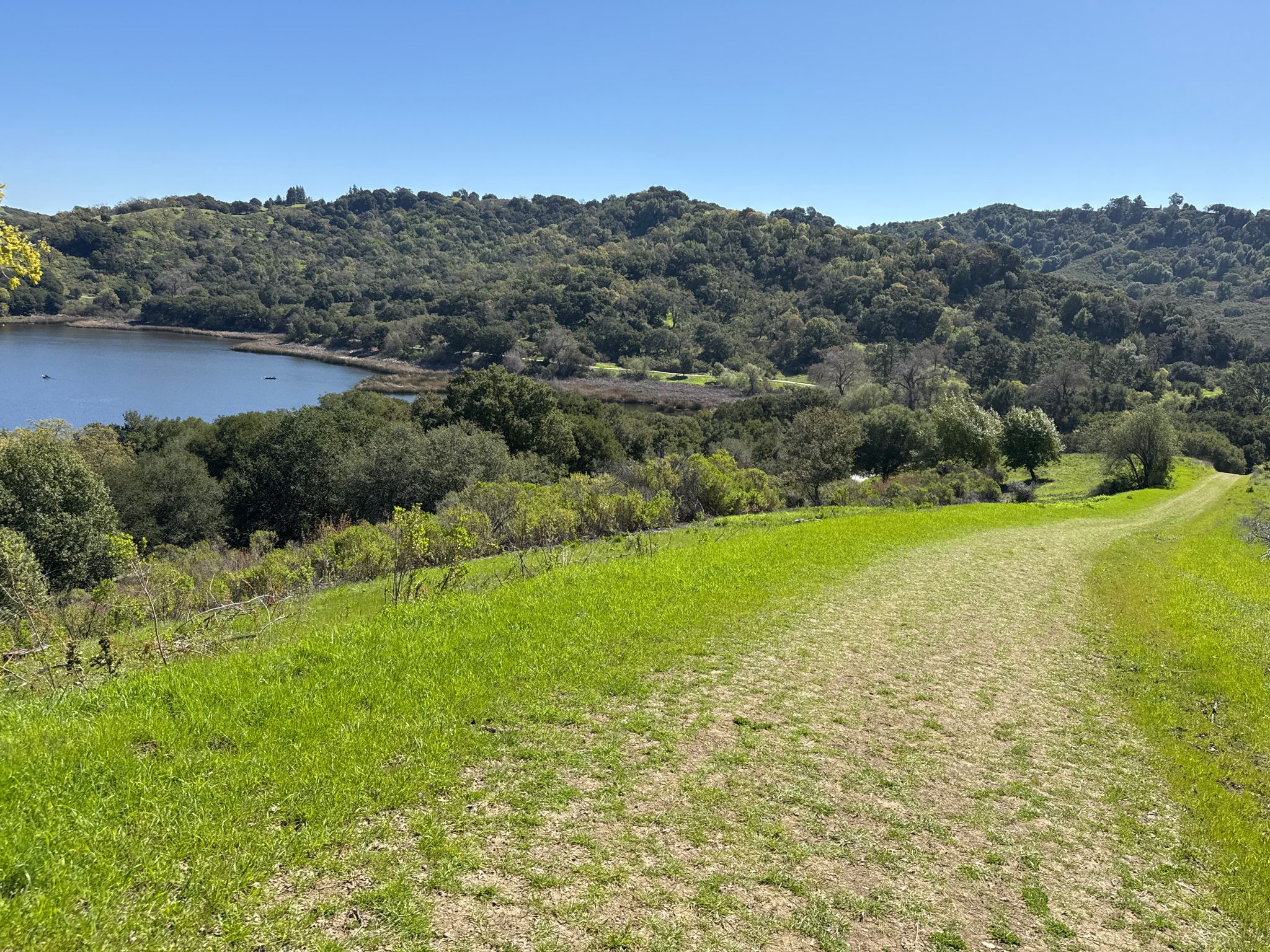 Grassy path overlooking a lake and forested hills under a clear sky. - Lafayette Reservoir lookout loop from Orinda