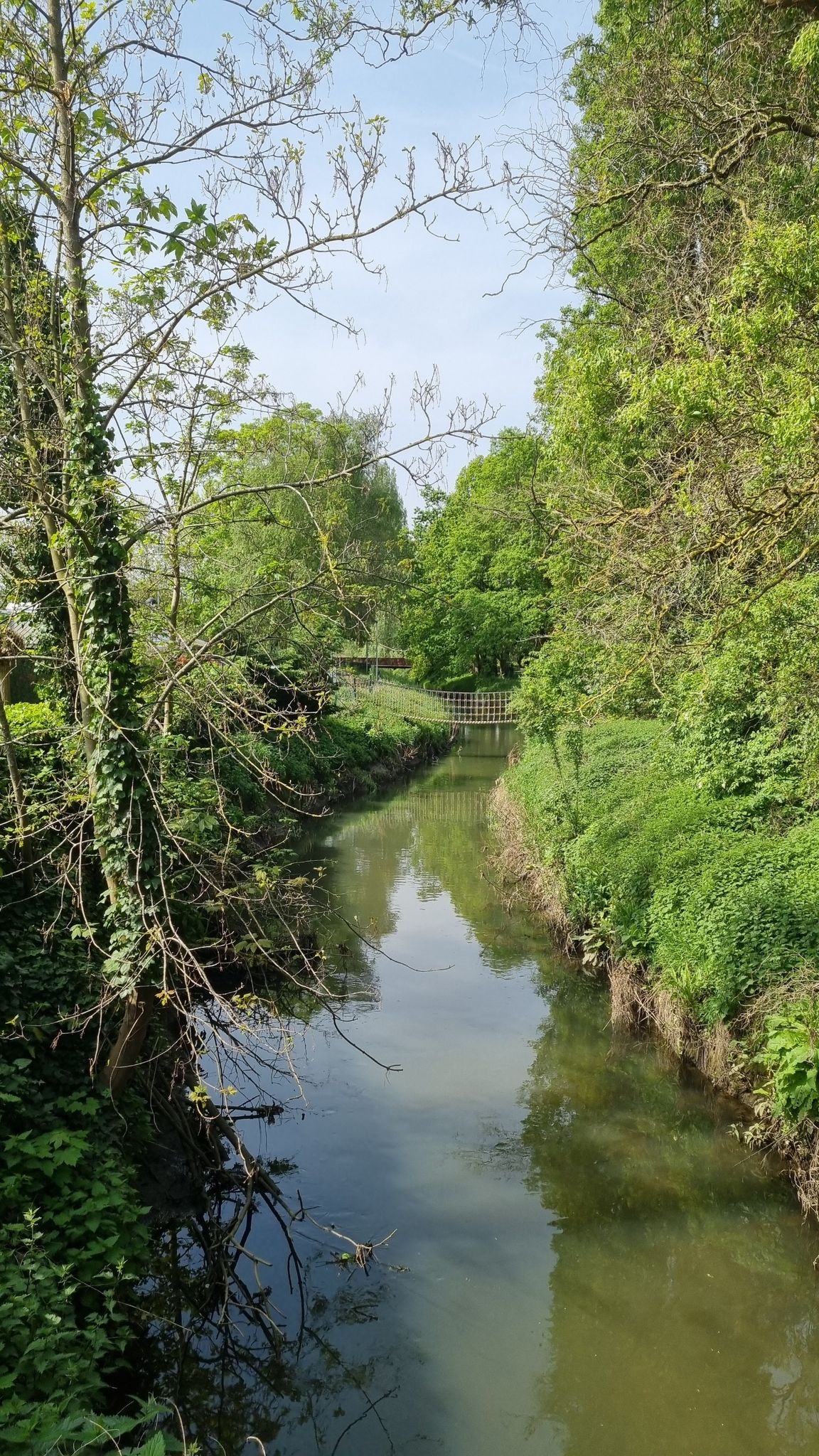Velpe