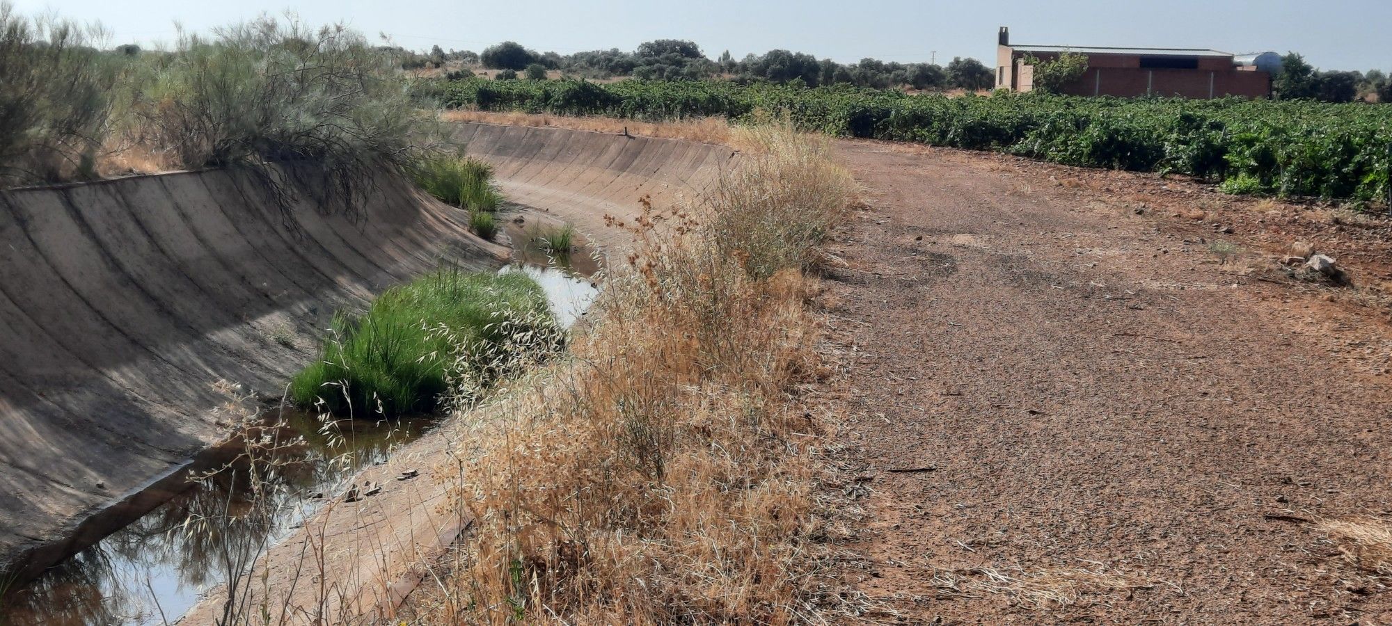 Canal de Gasset