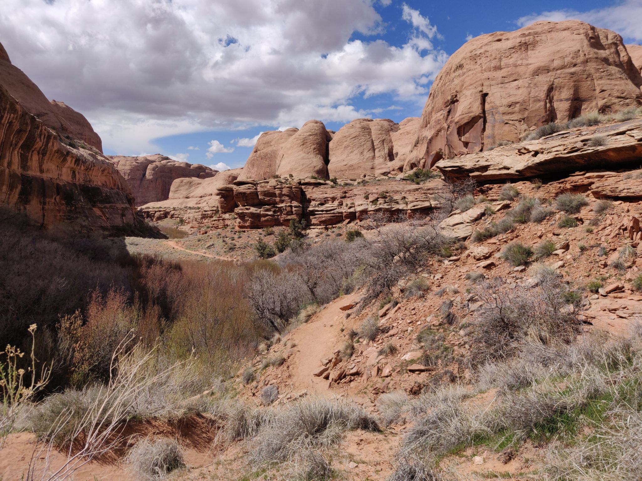 Arid canyon landscape with red rock formations, dry bushes, and a winding dirt path. - Grandstaff Canyon Trail