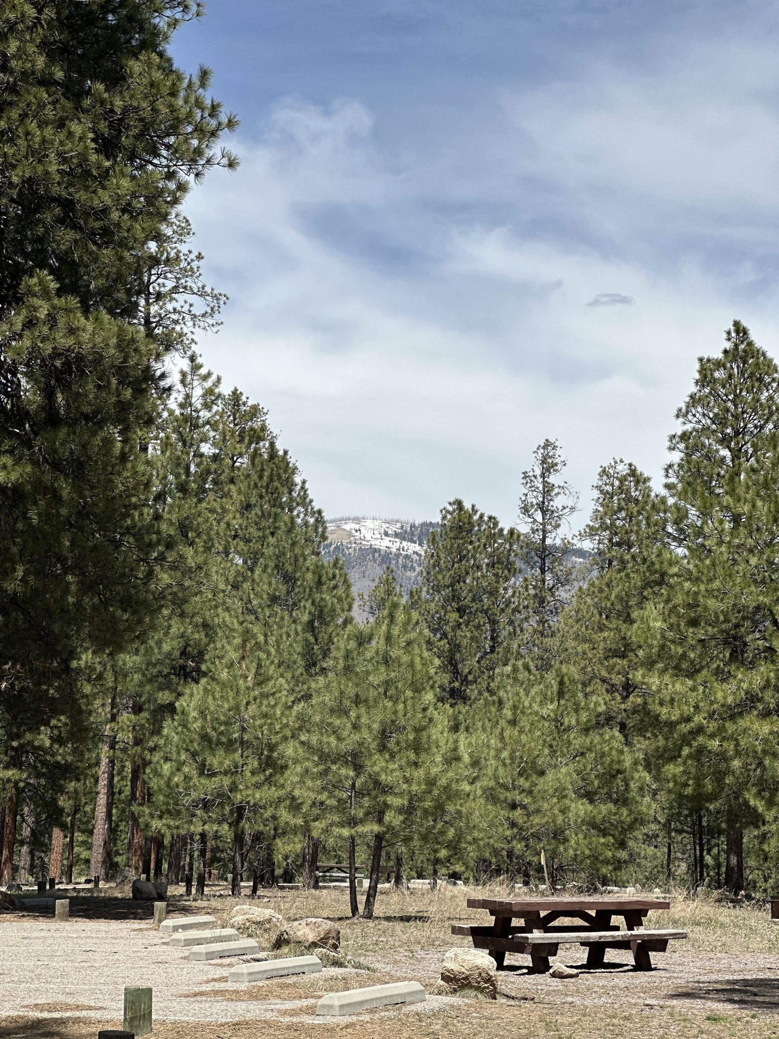A picnic table in a forest clearing with a distant snow-capped mountain. - View of Jemez Falls – Jemez Falls loop from Sierra de los Pinos