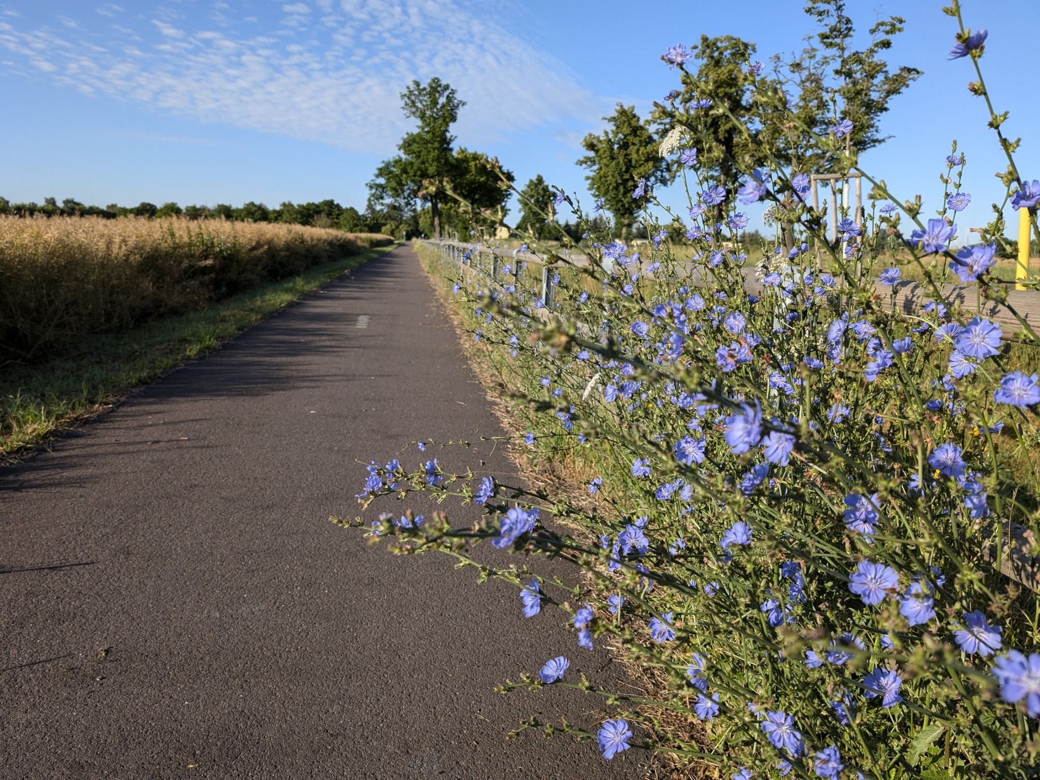 Radweg nach Neundorf