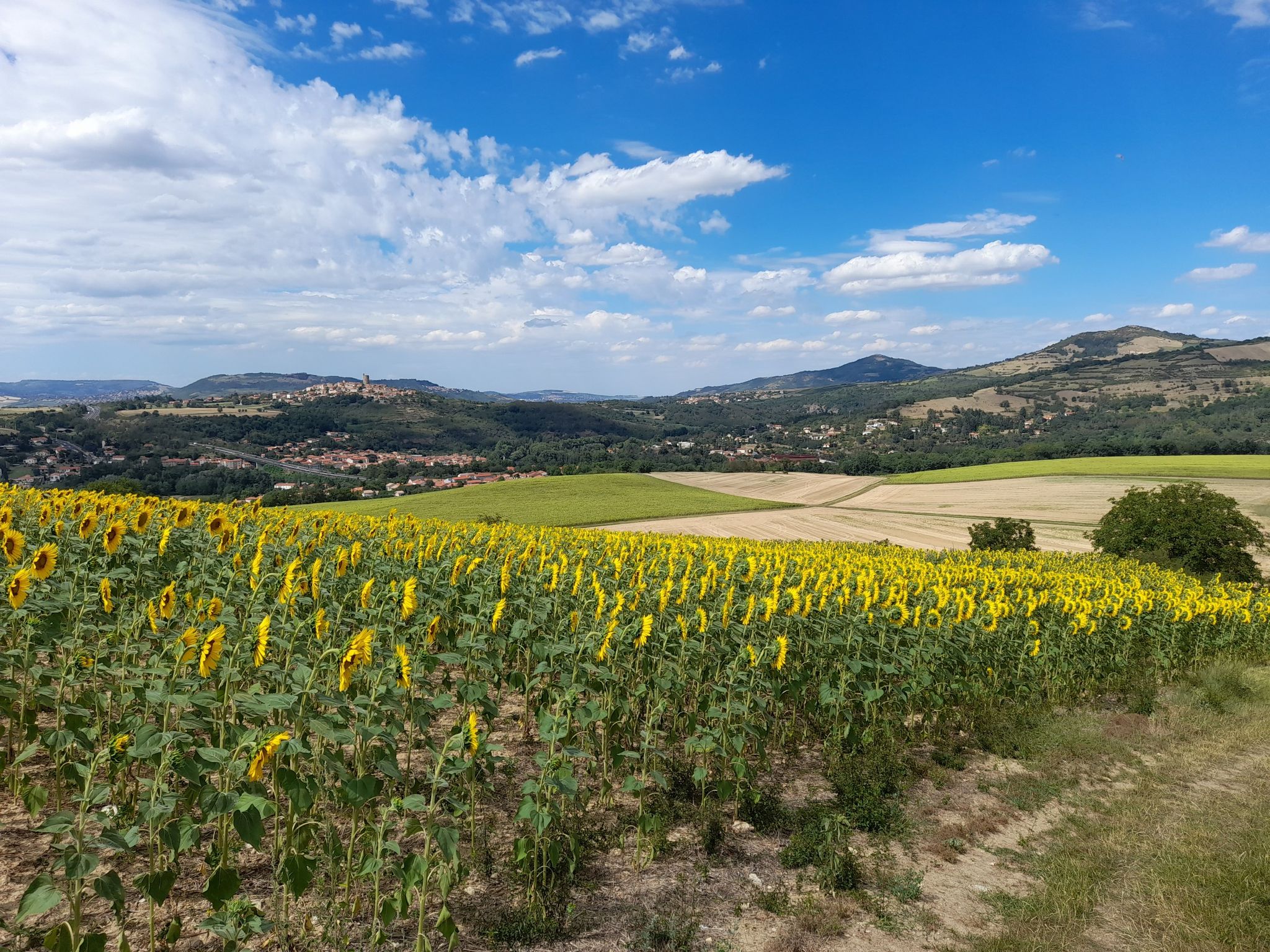 Montperroux