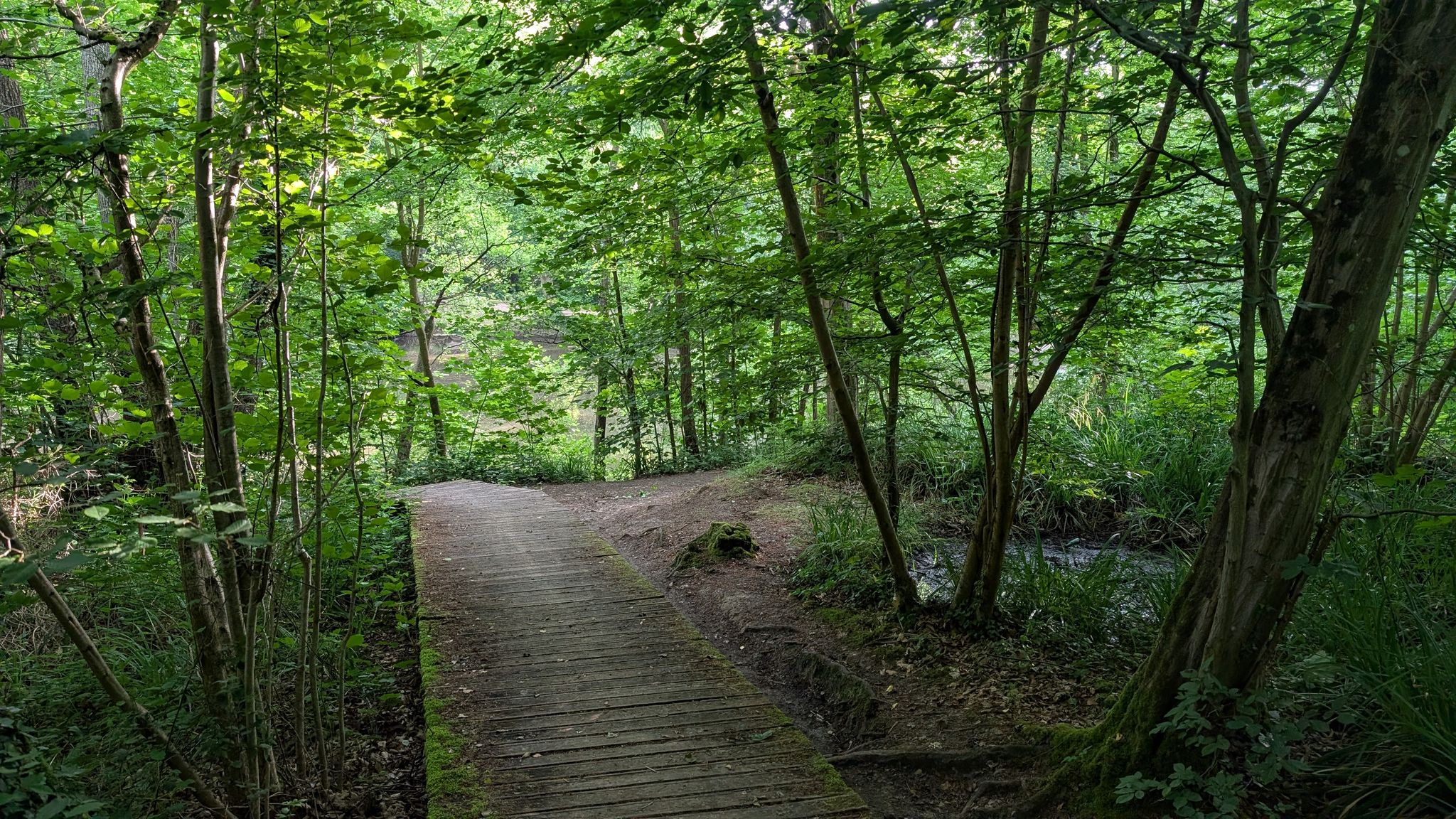 au bout de la petite allée en bois il y a l'étang marie