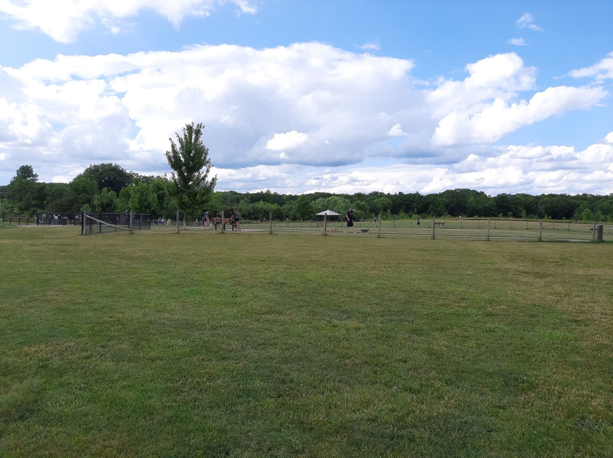 A large green field under a partly cloudy sky with distant trees and people. - Hager Creek Open Space loop from Zemaitis Preserve