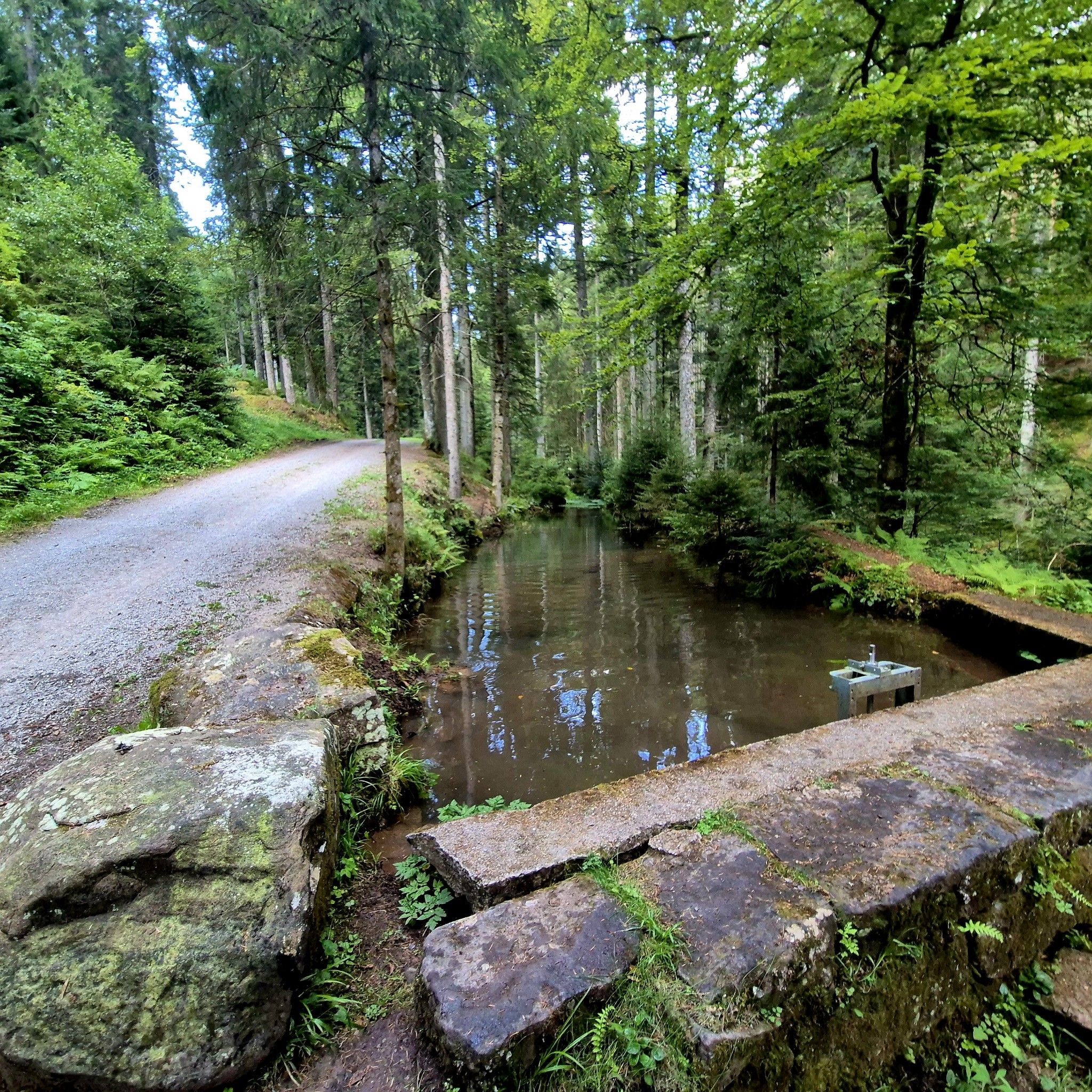 Von hier wird das Mühlrad bewässert