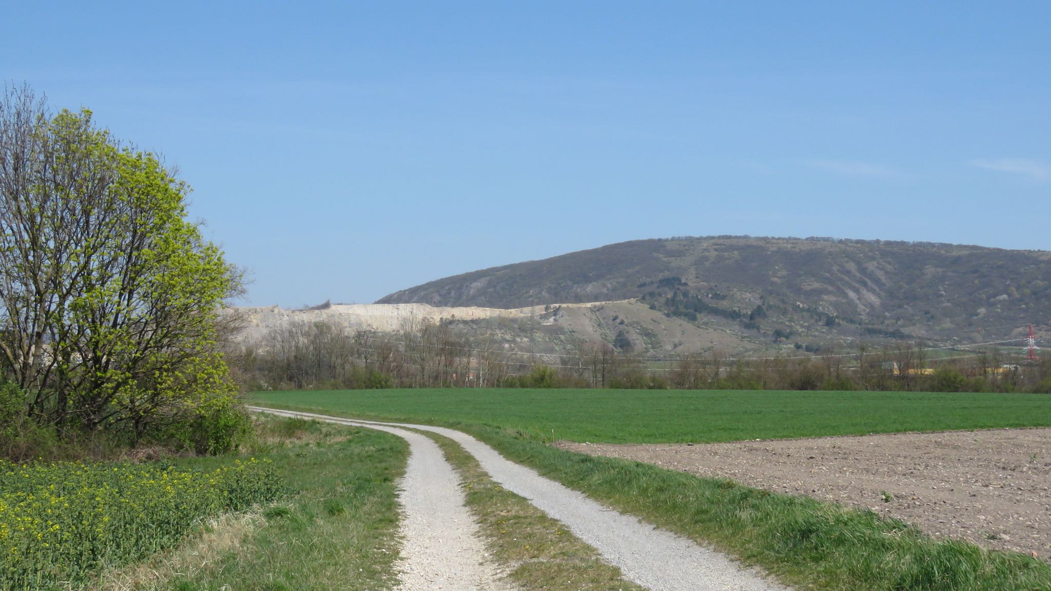 Hundsheimer Berg 480 m