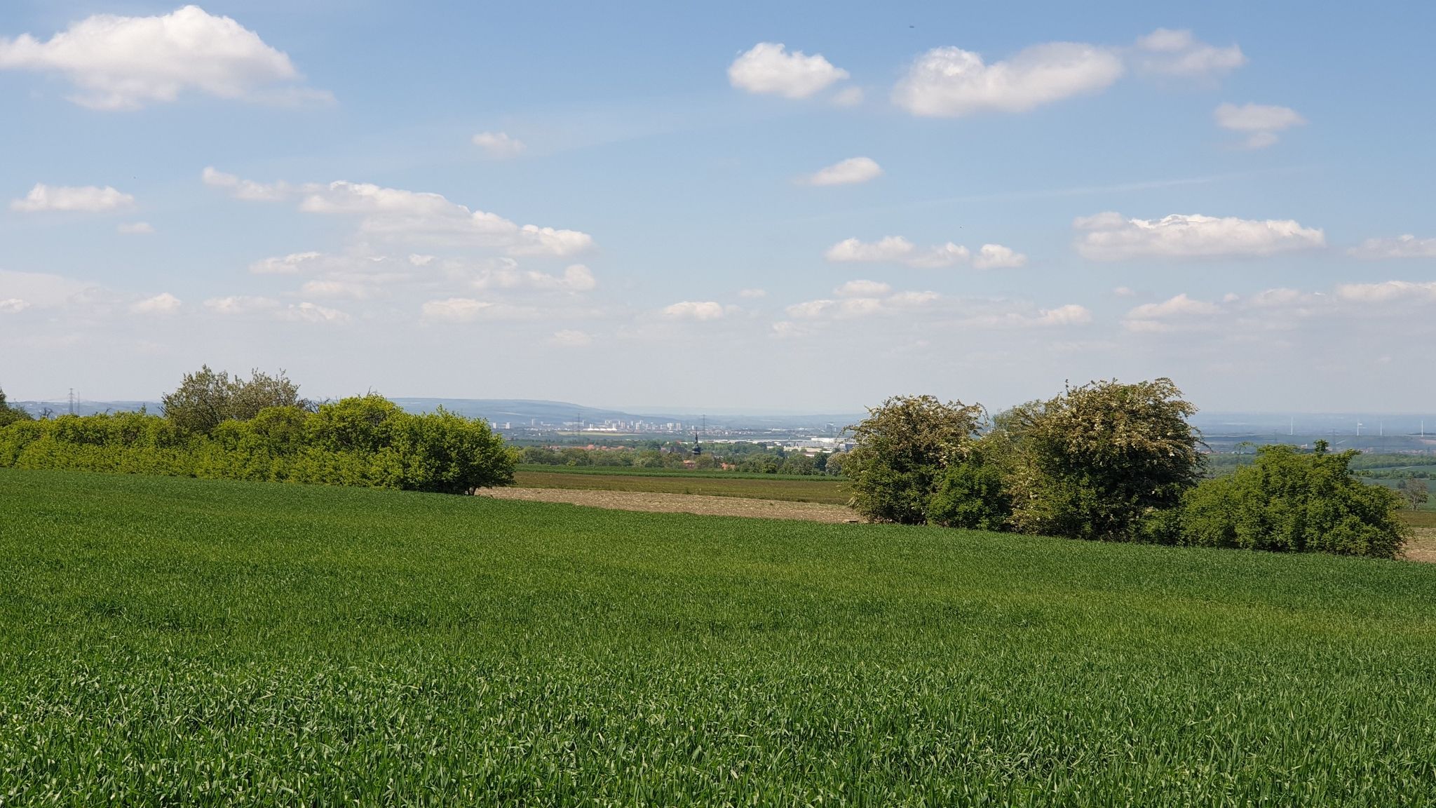 Blick nach Erfurt 