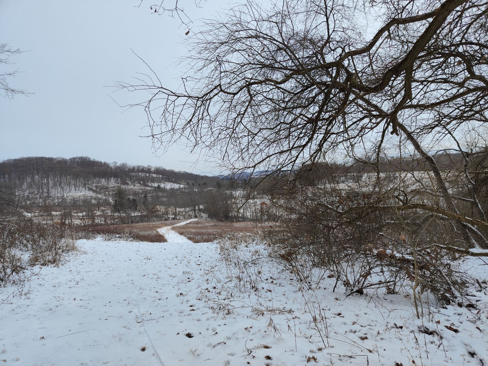 Snowy path winding through a winter field under an overcast sky. - Hartwood Acres & Carol R. Brown Sculpture Garden loop