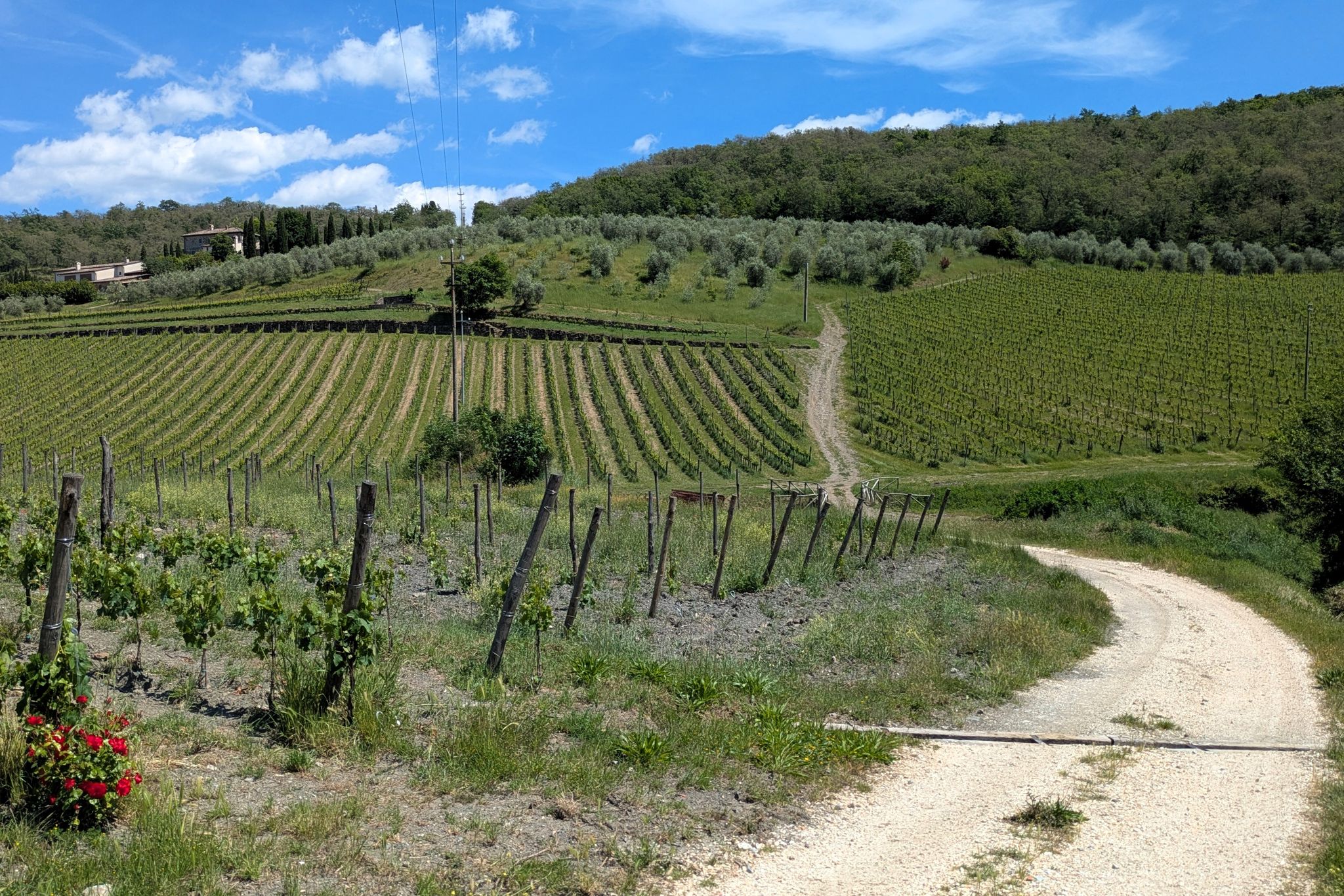 Weg aus dem Ort in die Weinberge